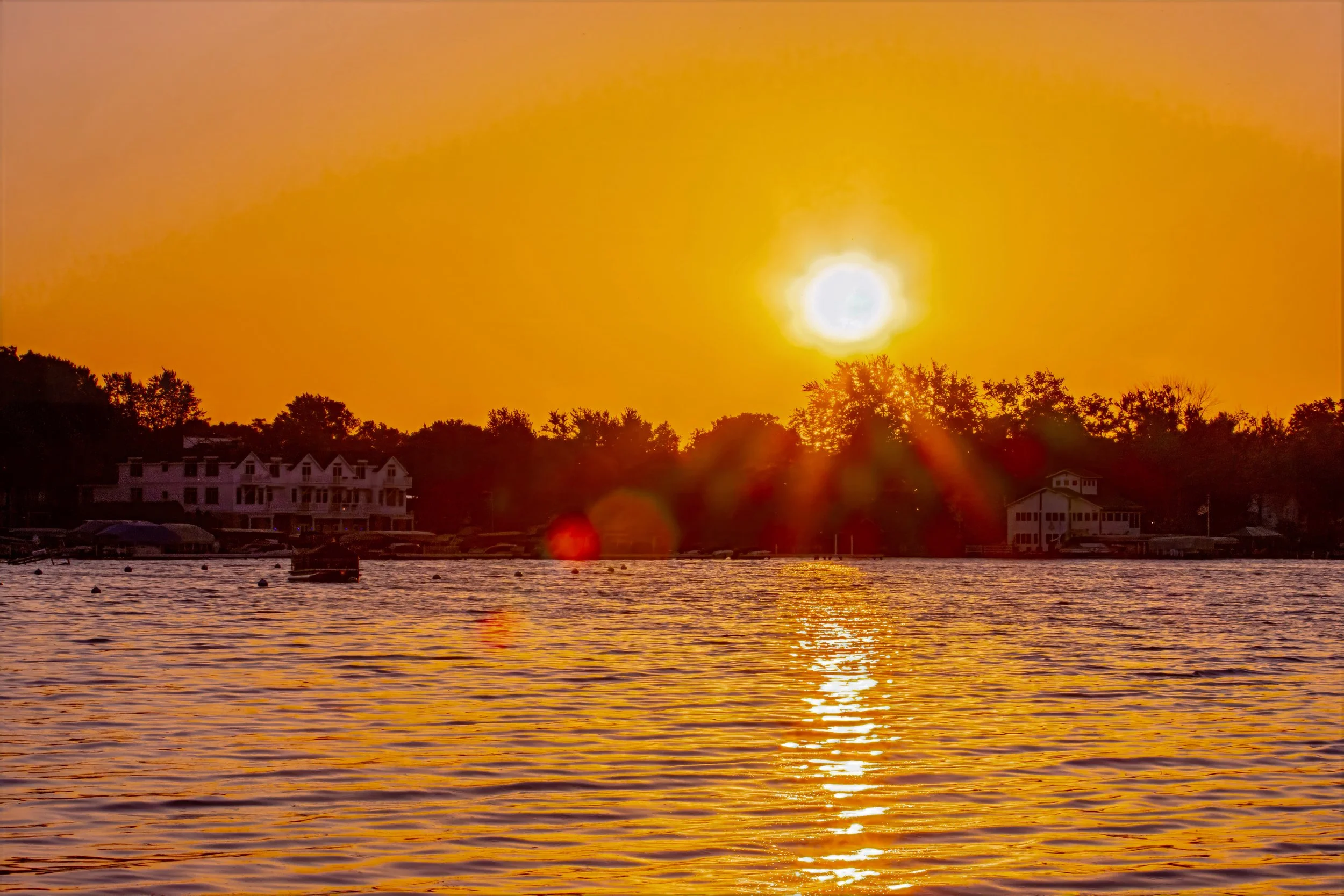 Sunset over a body of water with trees and houses in the background.