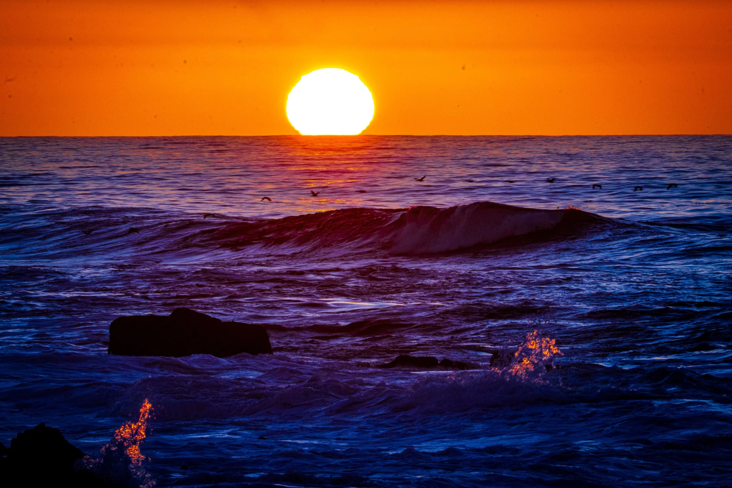 A large sun setting over the ocean with waves and seagulls flying in the sky.