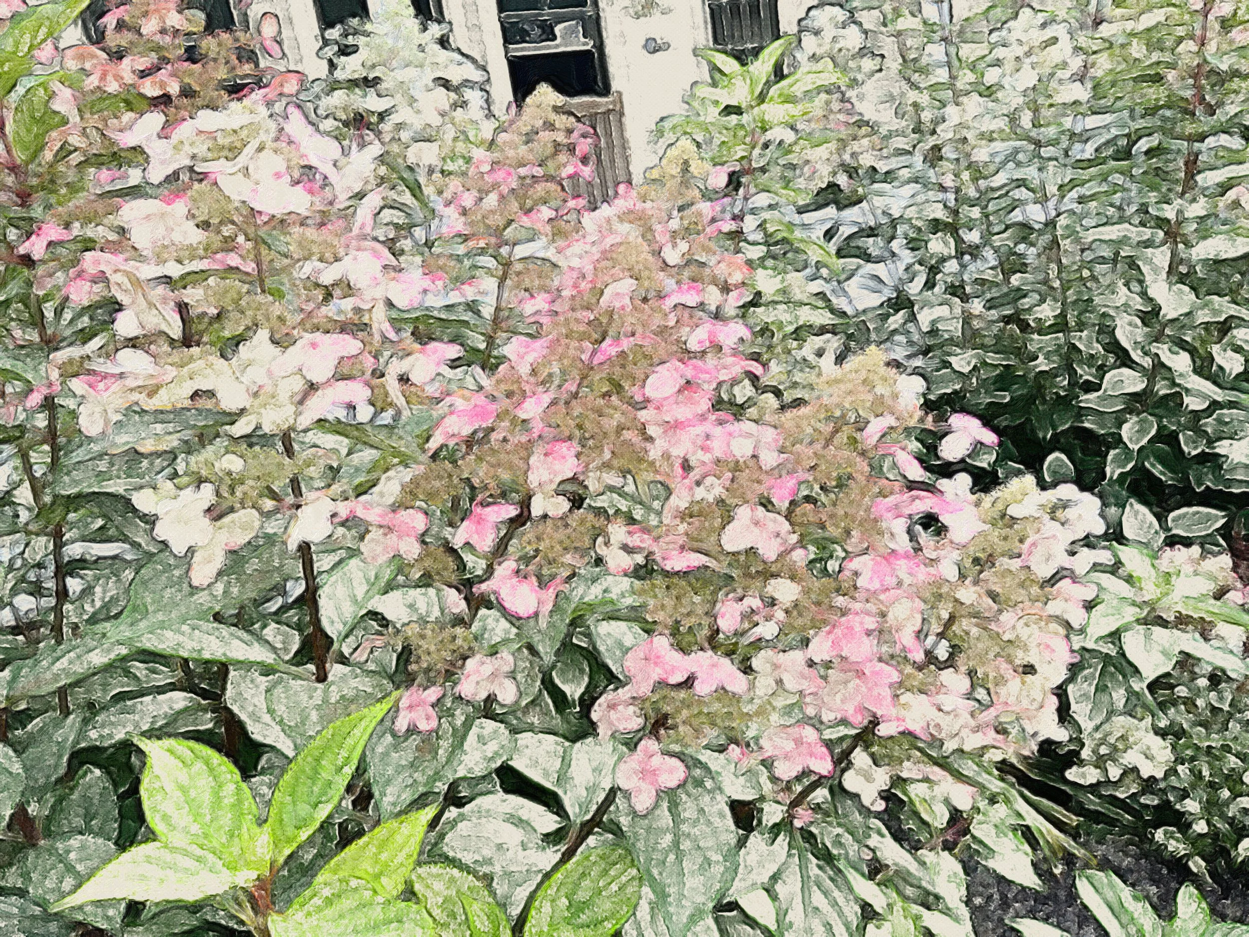 Annual Plant Sale Day 2