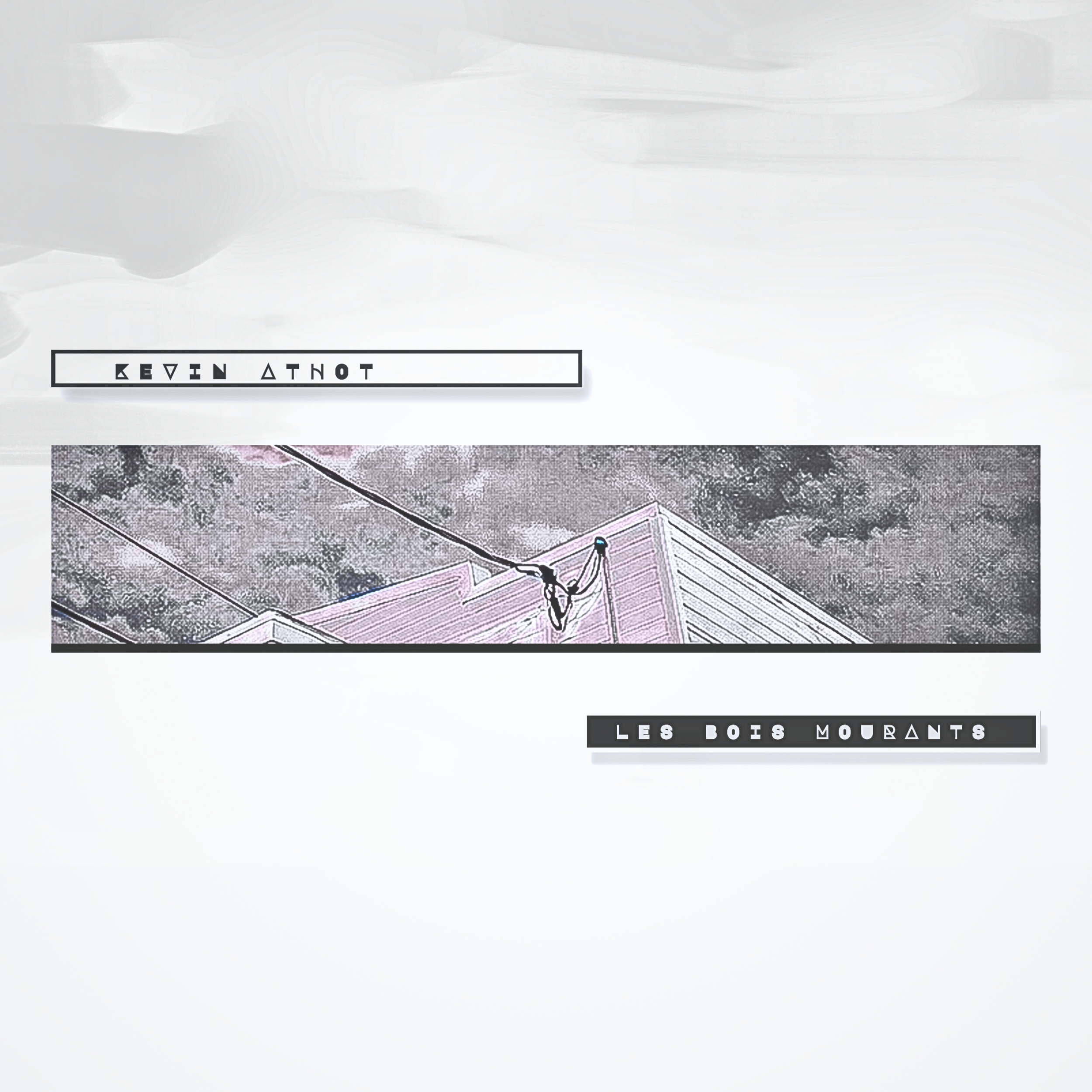 Album-Les bois mourants