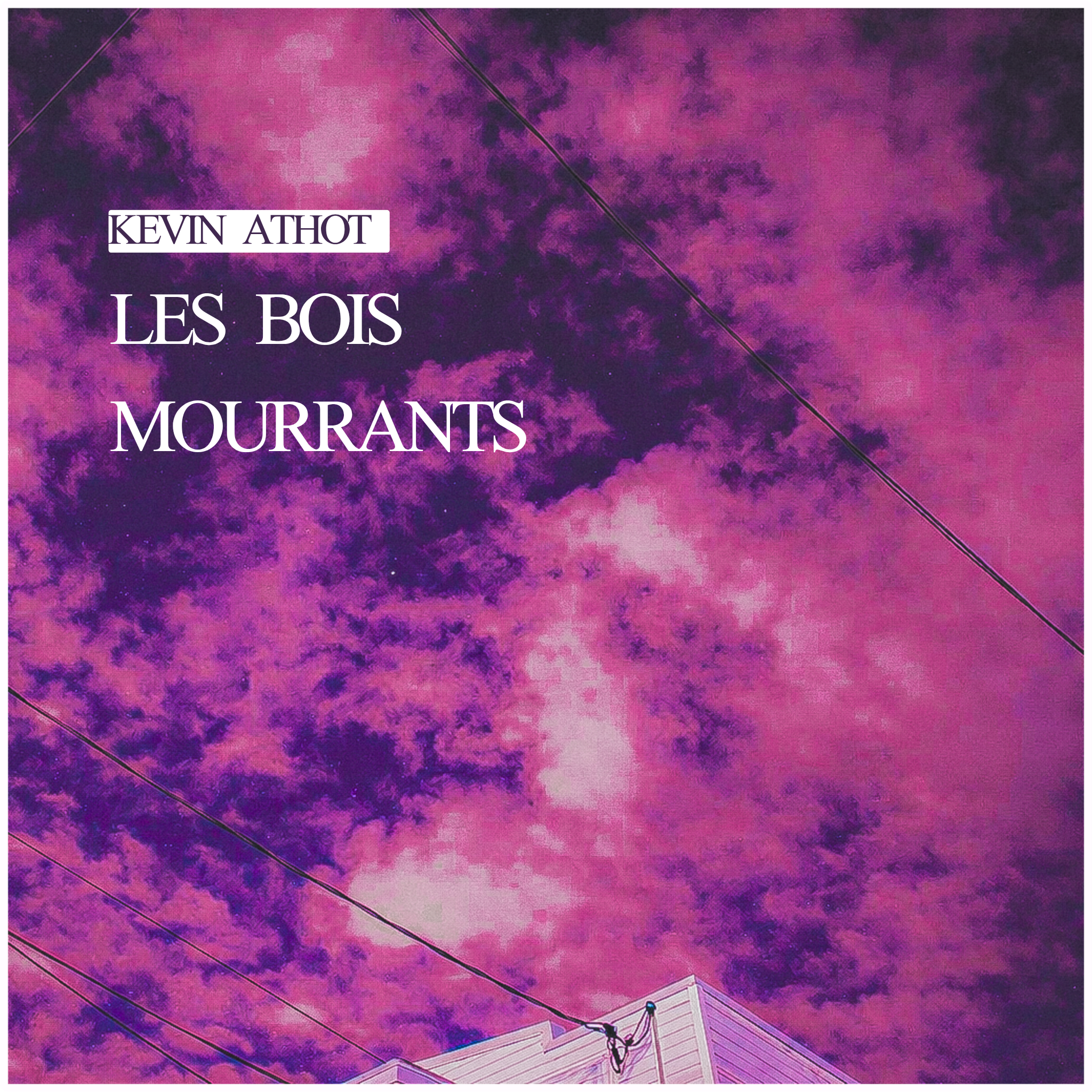 Les bois mourrants