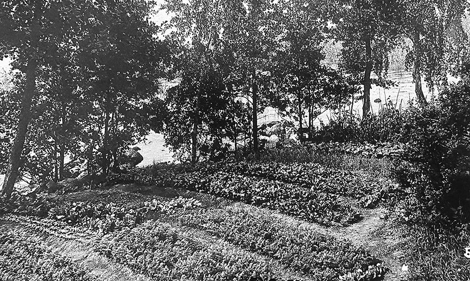 sid 89. Barnens trädgårdsland i Barnens By.jpg