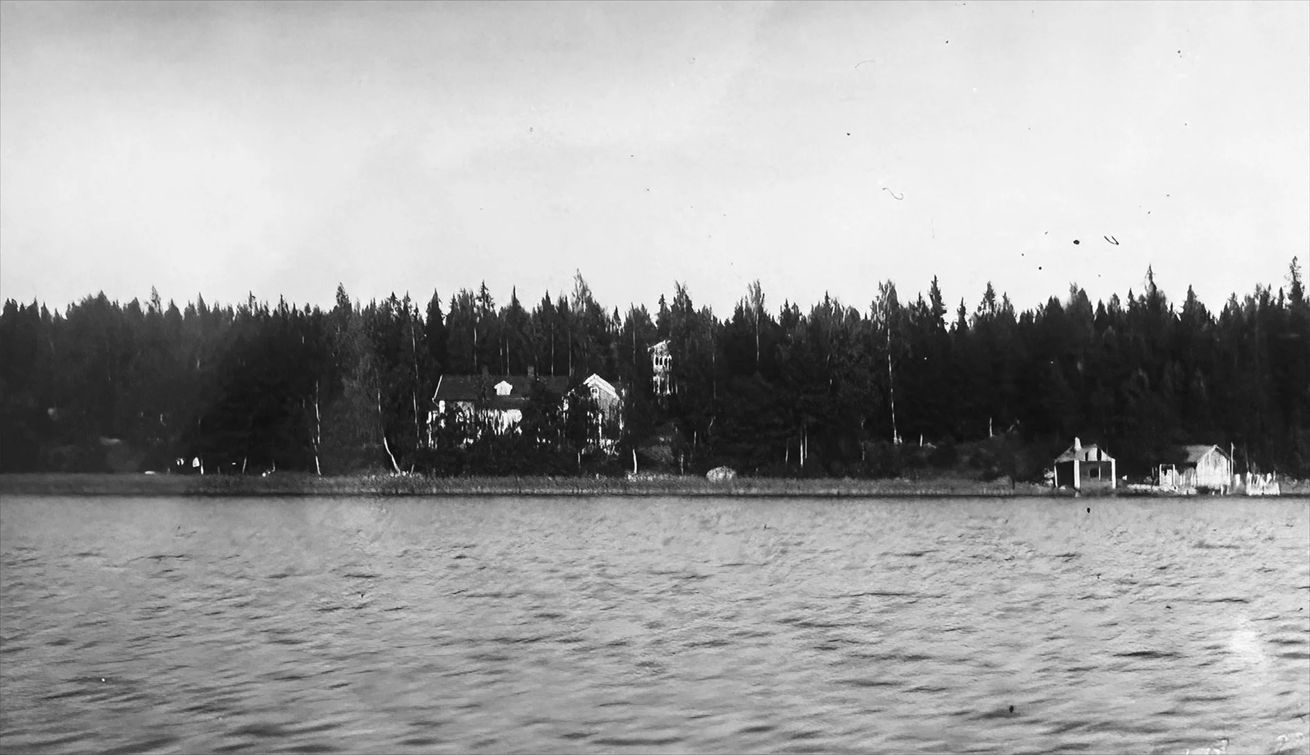 sid55. BByns egna strand omgiven av stora ekonomiskogar.jpg
