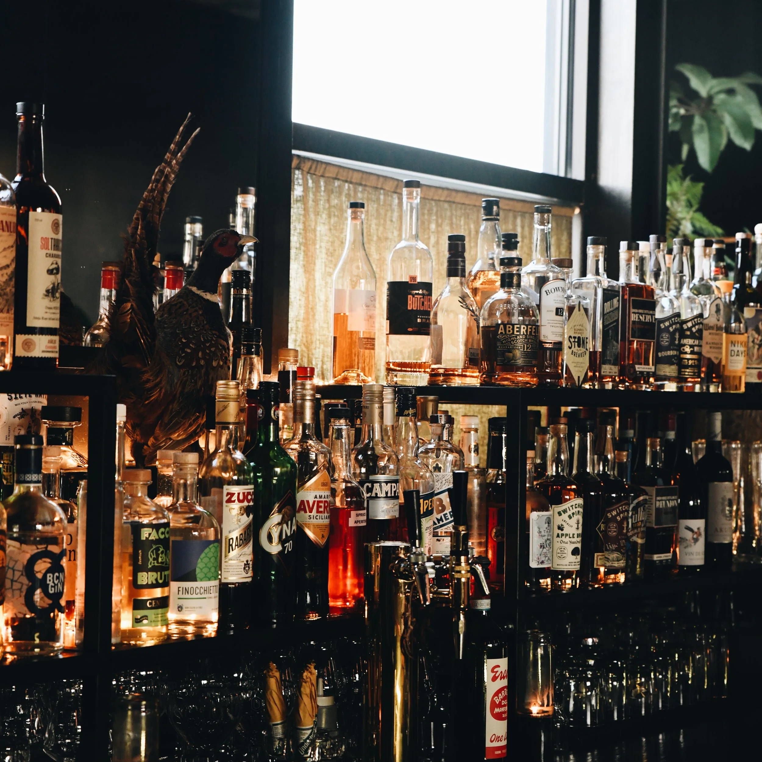 Image of Bar and Photos