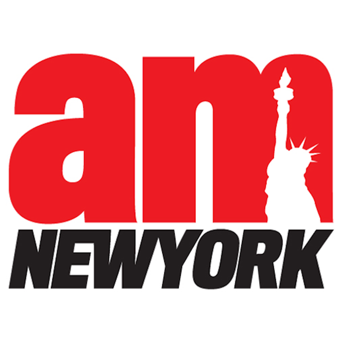 Logo for amNew York featuring the Statue of Liberty integrated into the letter 'm'