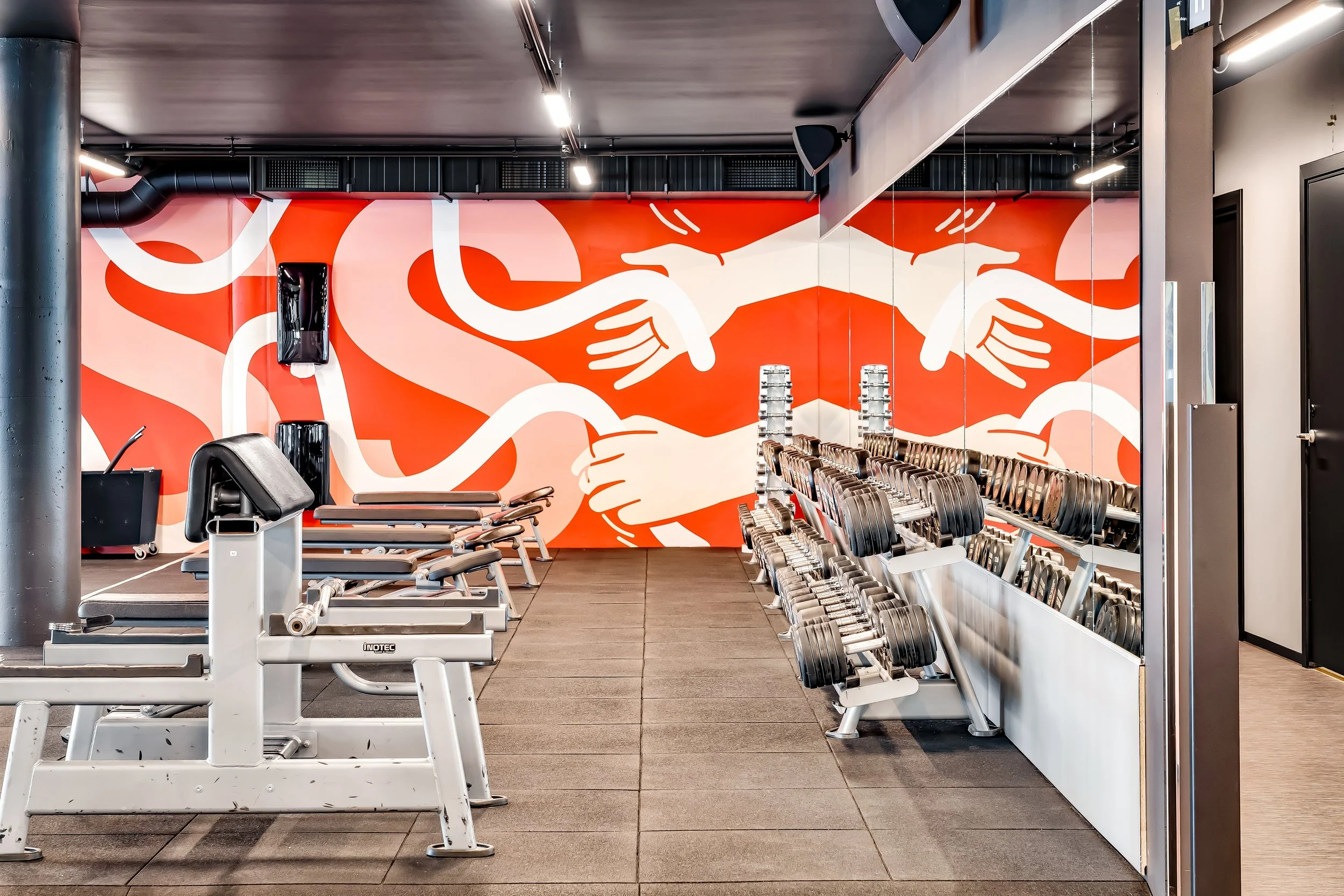 fresh fitness16.jpg