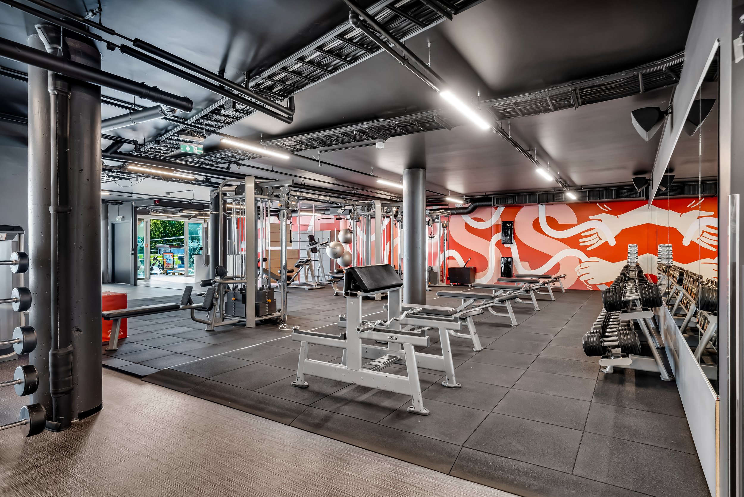 fresh fitness3.jpg