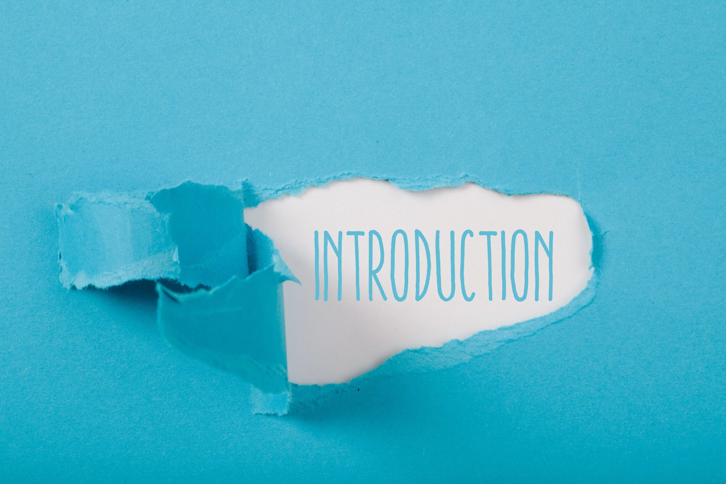 Introductory Meeting