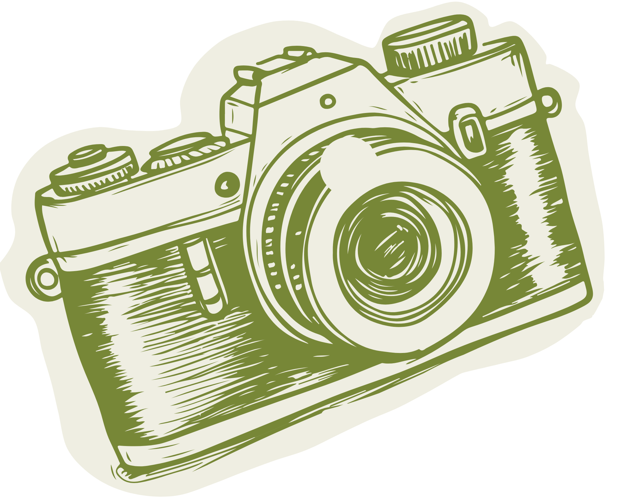 Close-up illustration of a vintage camera in green line art style.