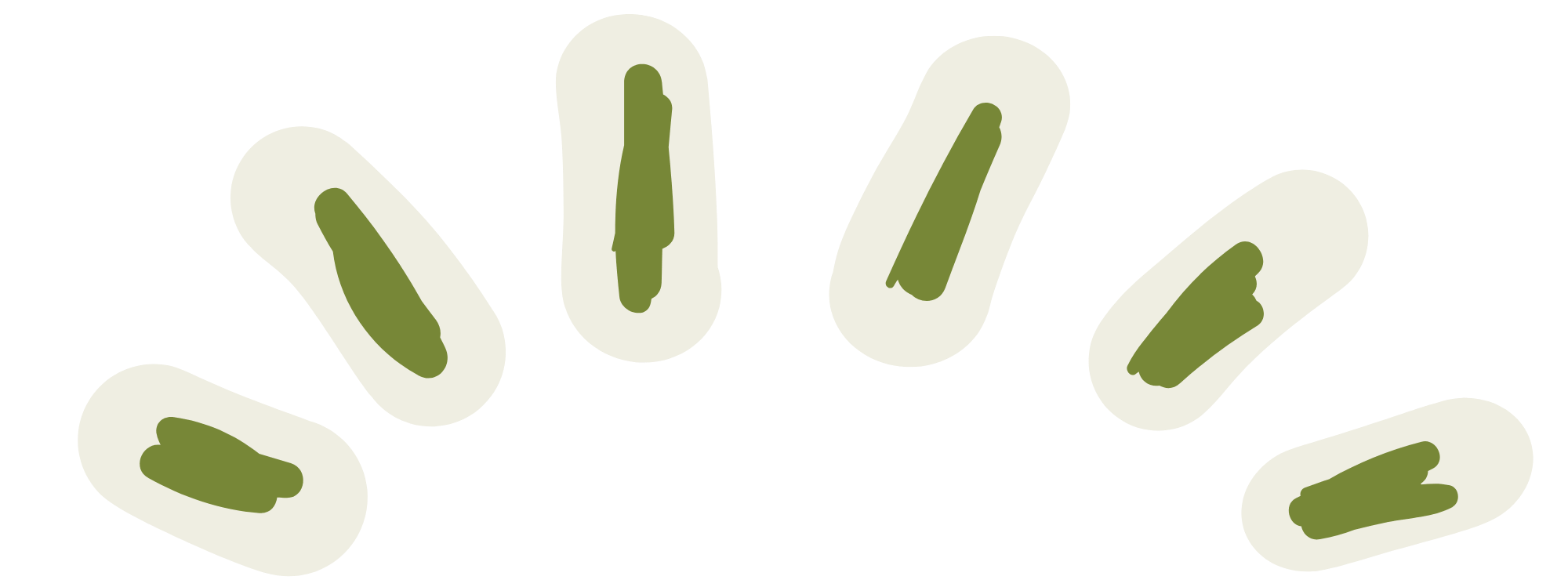 Illustration of seven white pill capsules with green centers arranged in a circular pattern.