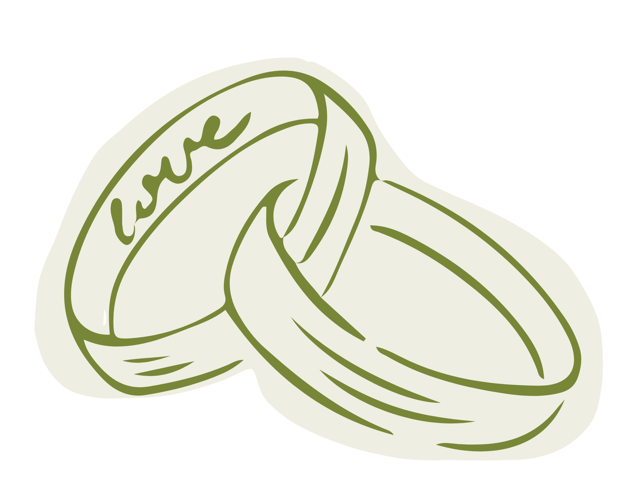 Close-up illustration of a leaf with detailed veins and structure.