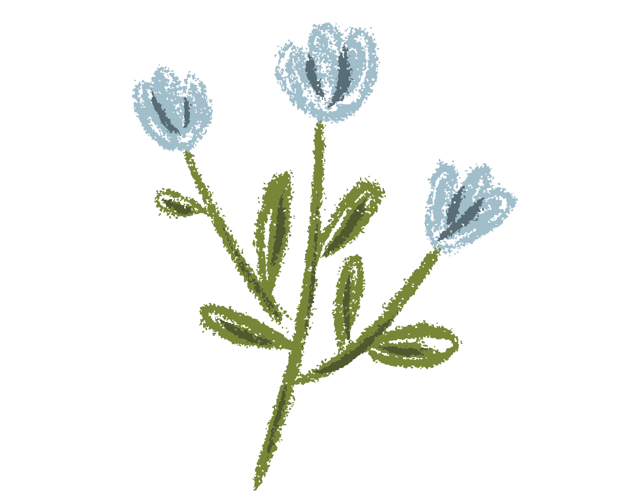 A digital illustration of a blue flower with three blossoms, green stems, and leaves on a black background.
