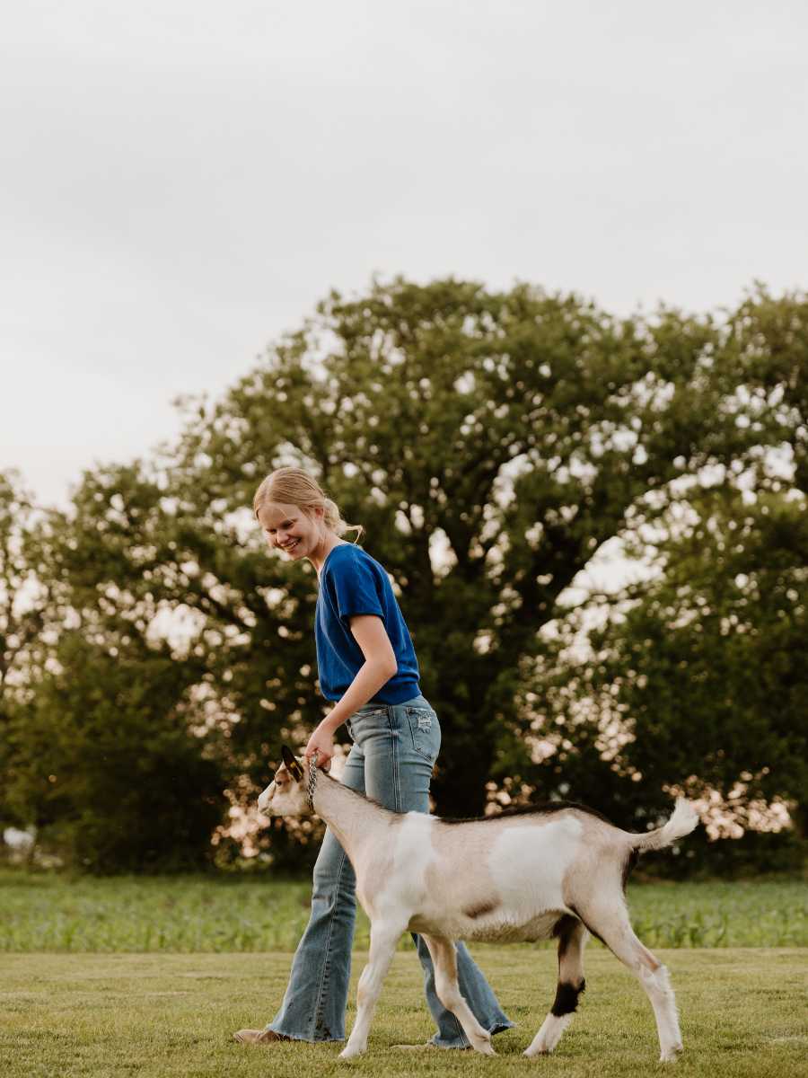 A woman with blonde hair in a blue shirt and jeans playing with a young goat outdoors on a grassy field with a large tree in the background.