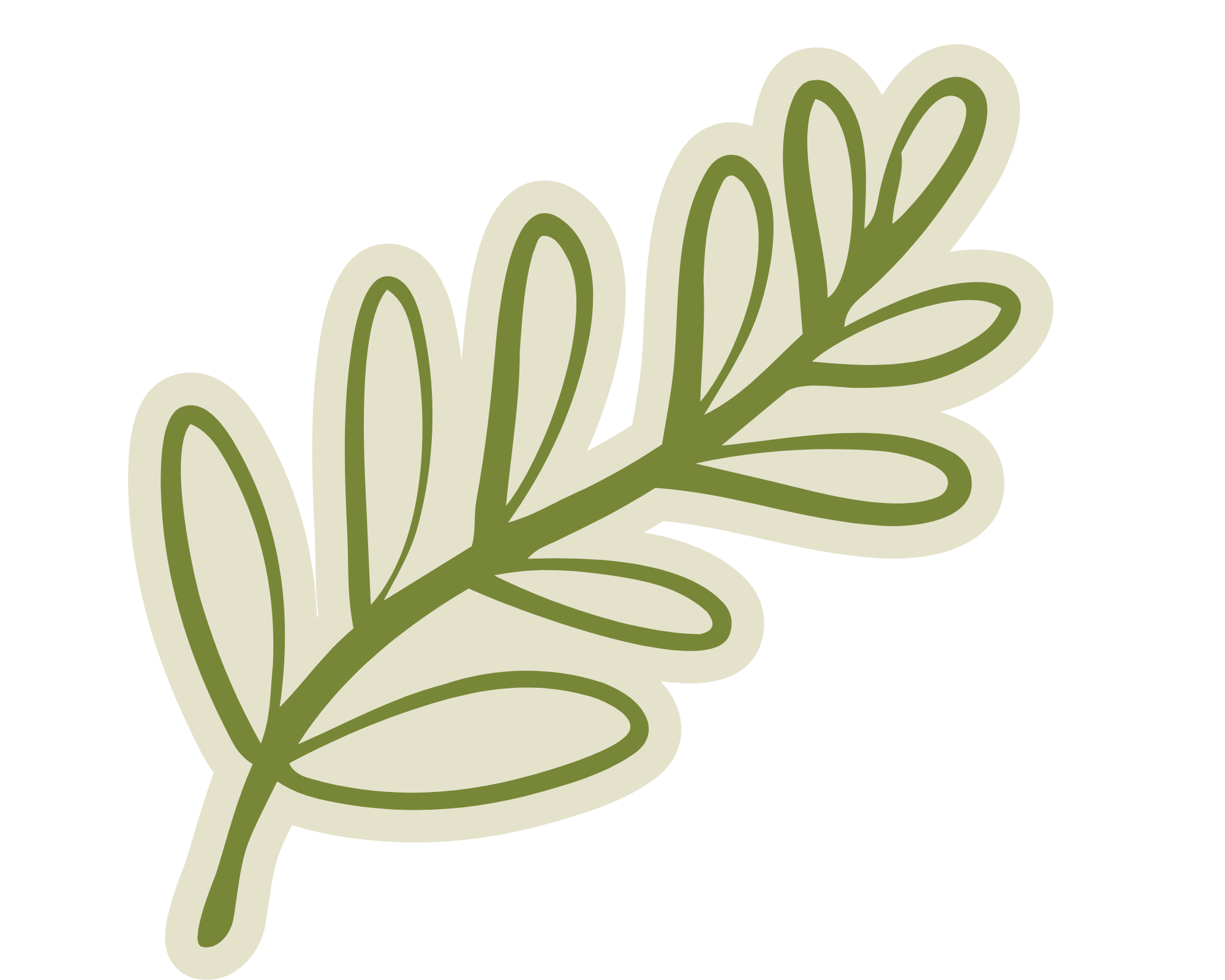 Stylized illustration of a green plant with multiple elongated leaves.
