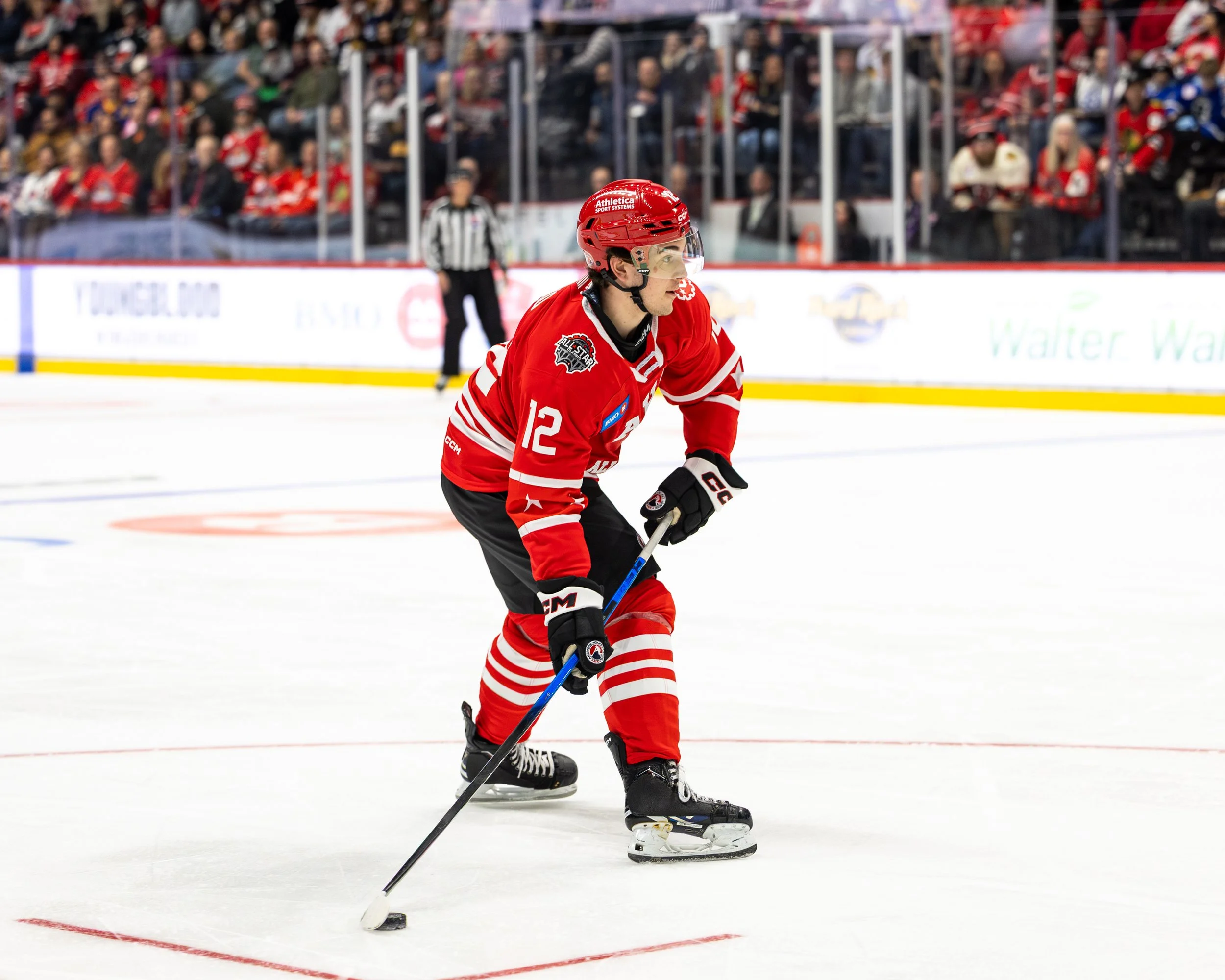 2L3A2406.JPG