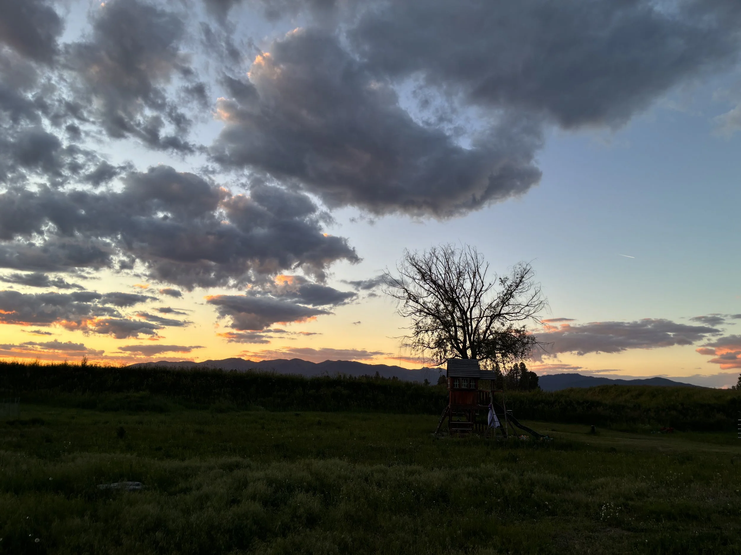 A landscape scene at dusk with dark clouds in the sky, a few hints of orange and pink from the setting sun, a leafless tree in the center, and mountains in the distance. There is also a small shed or house and a playground structure in the yard.