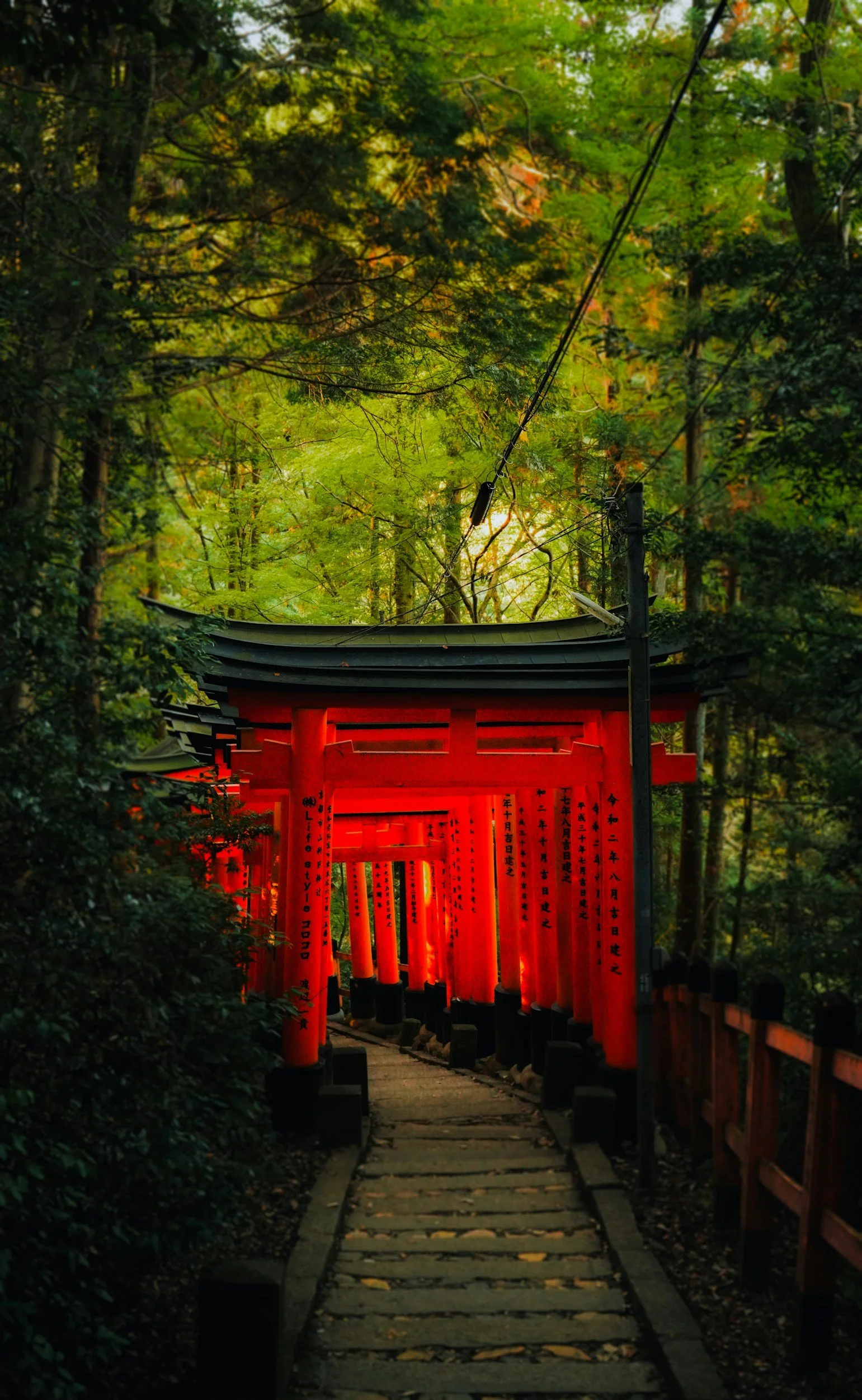 Beyond the Guidebook: Private Access to Japan's Hidden Culture