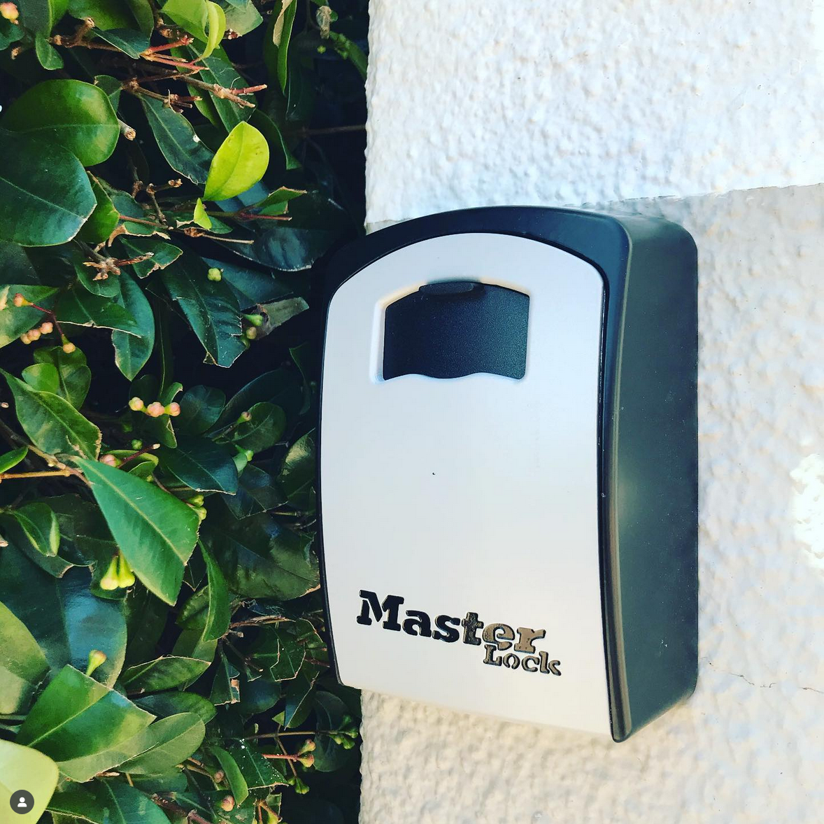 A white and black Master Lock key storage box mounted on a wall next to green shrubbery.