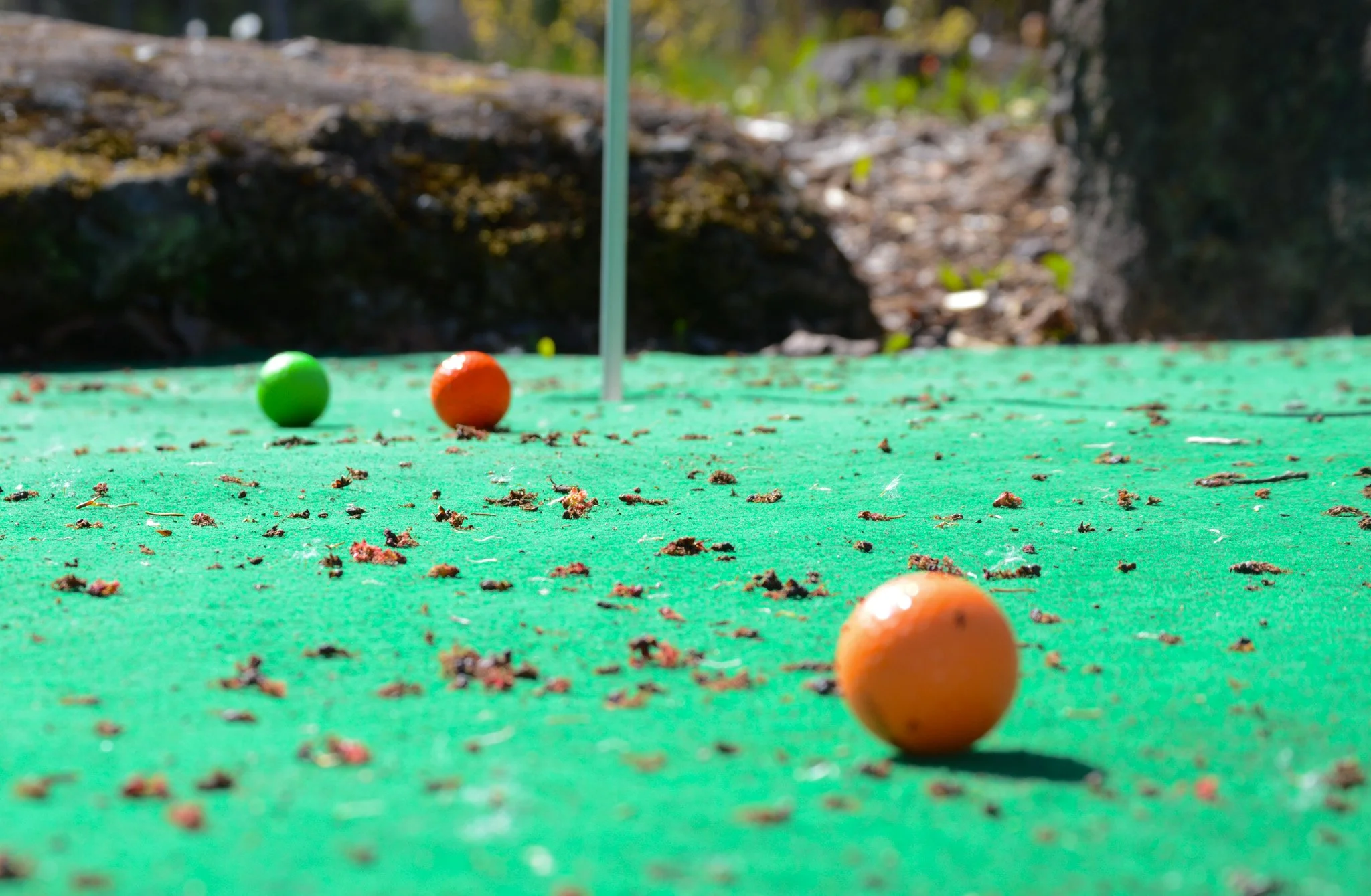 Close-up of orange and green golf balls on a green golf tee with scattered leaves and debris, outdoors in natural sunlight.