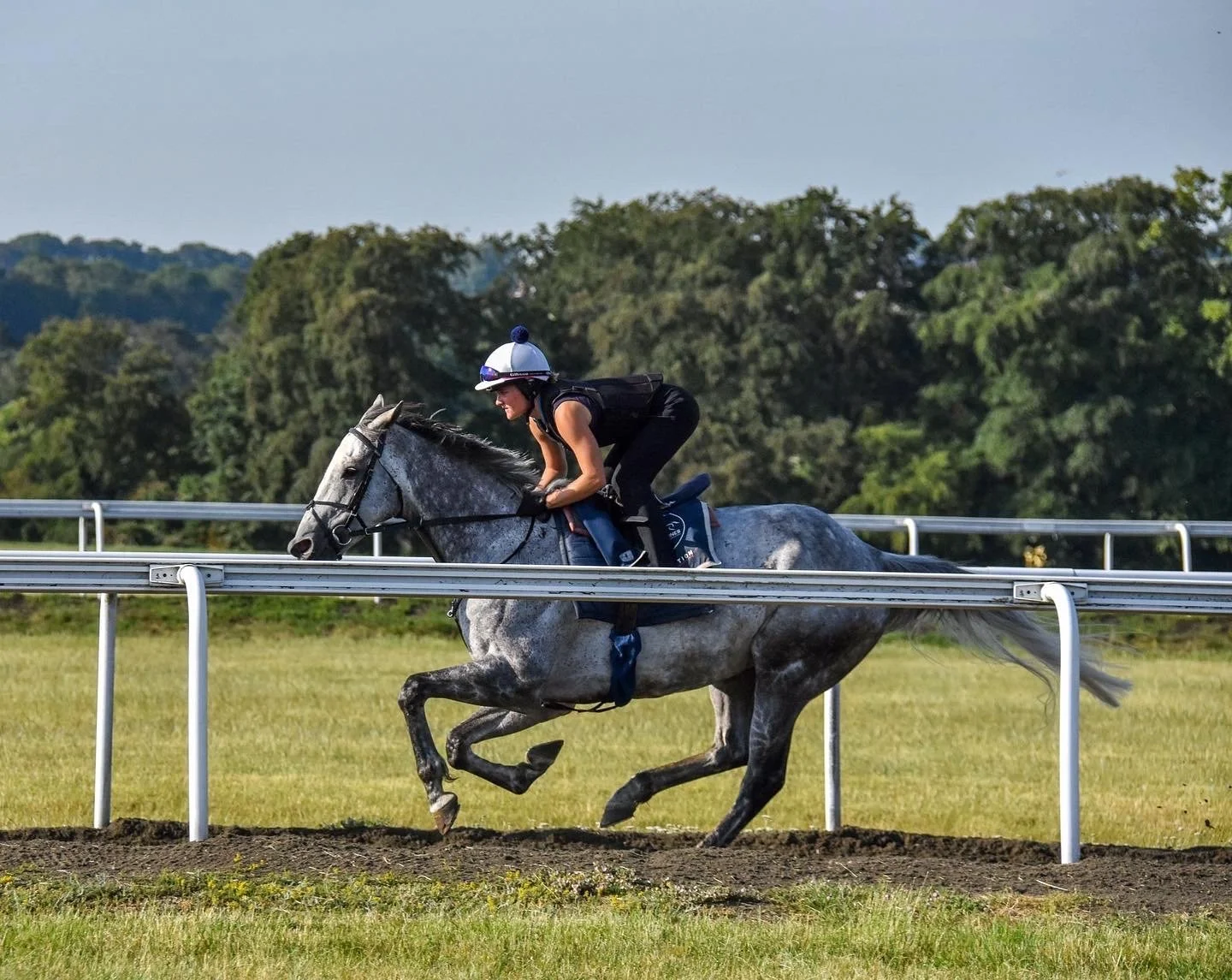 jack-jones-racing-grey-racehorse-galloping-in-training-066.jpg