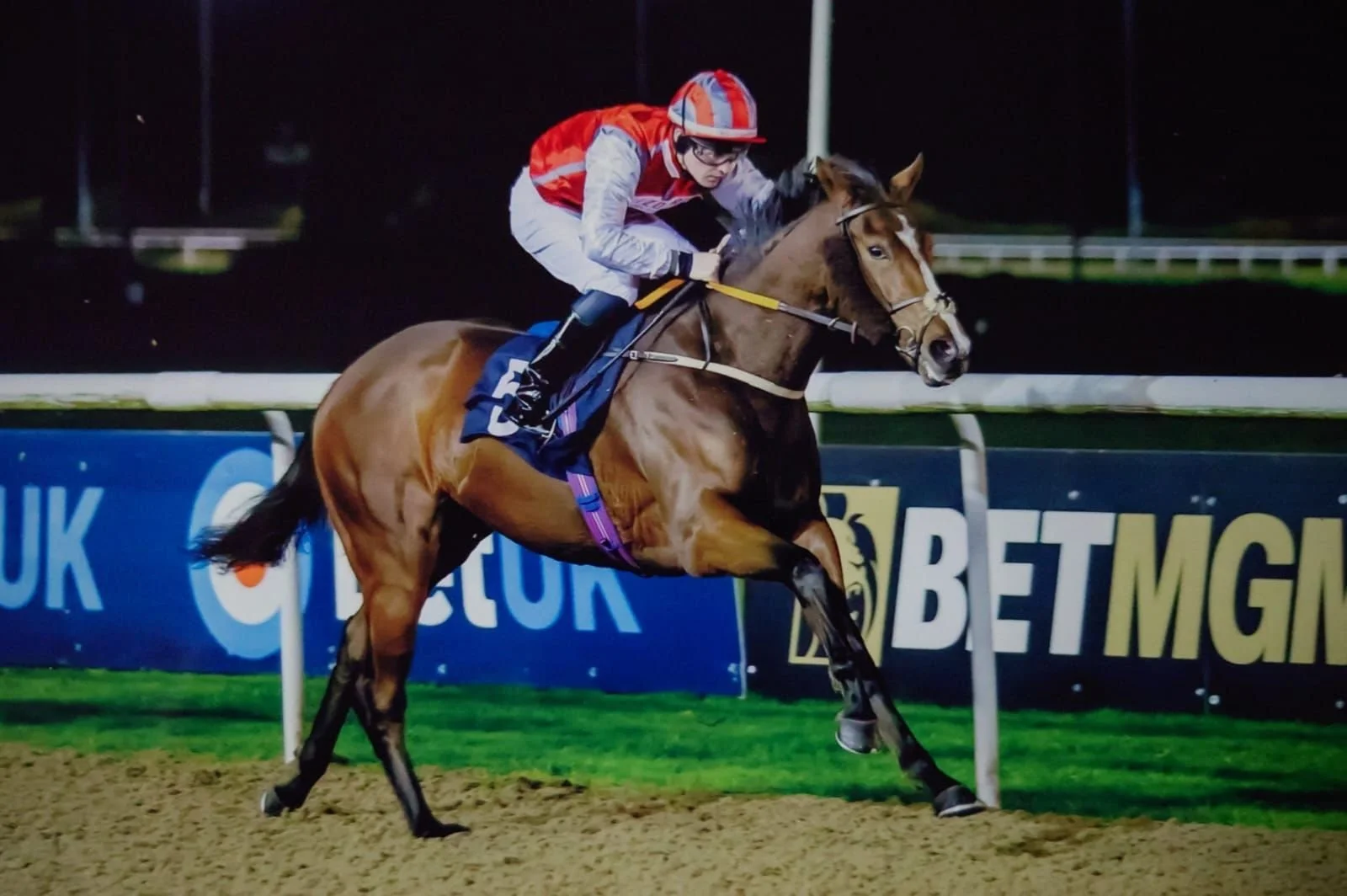 jack-jones-racing-racehorse-galloping-under-floodlights-040.jpg
