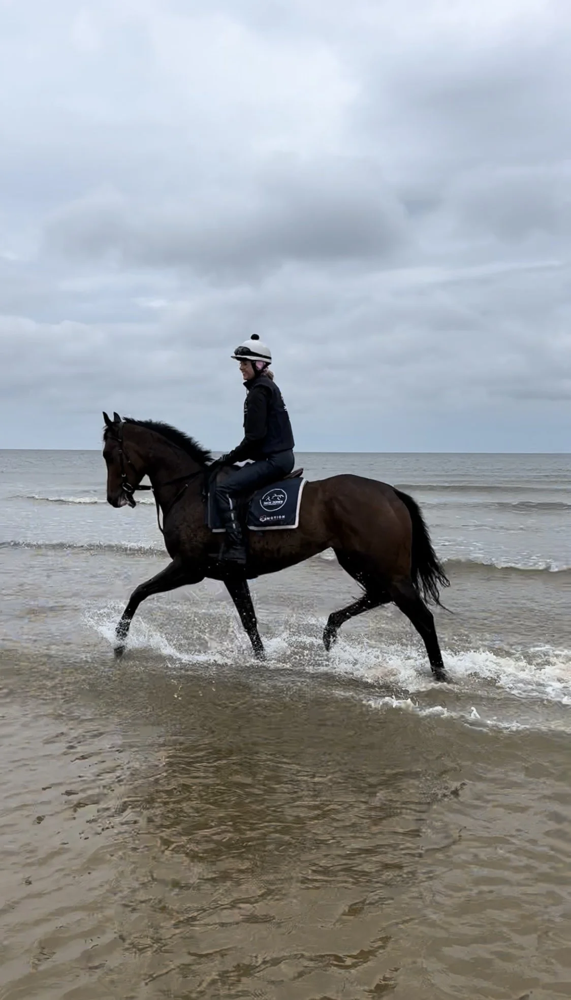 jack-jones-racing-racehorse-exercising-in-shallow-sea-022.jpg