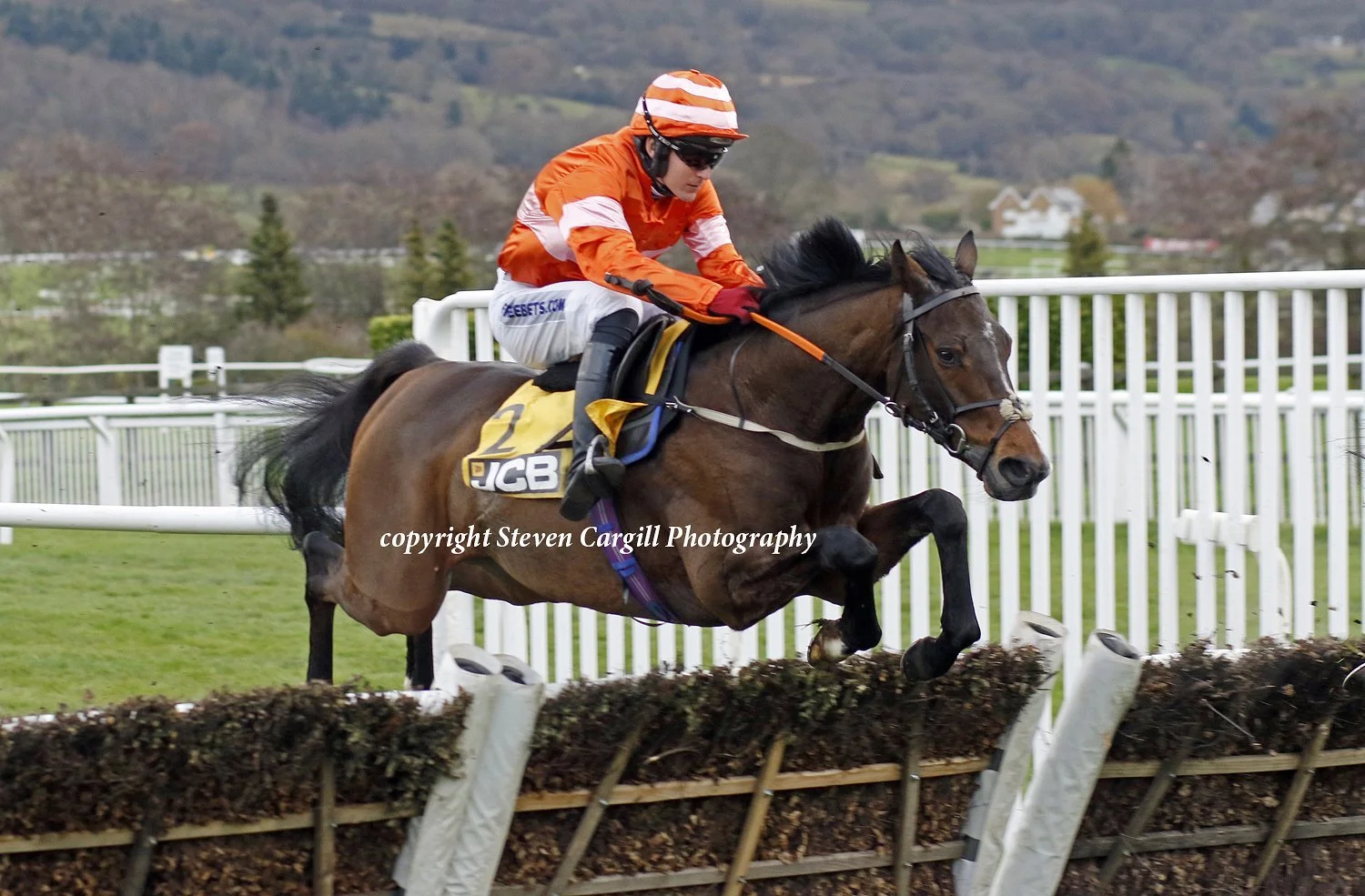 jack-jones-racing-racehorse-and-jockey-clearing-hurdle-034.jpeg