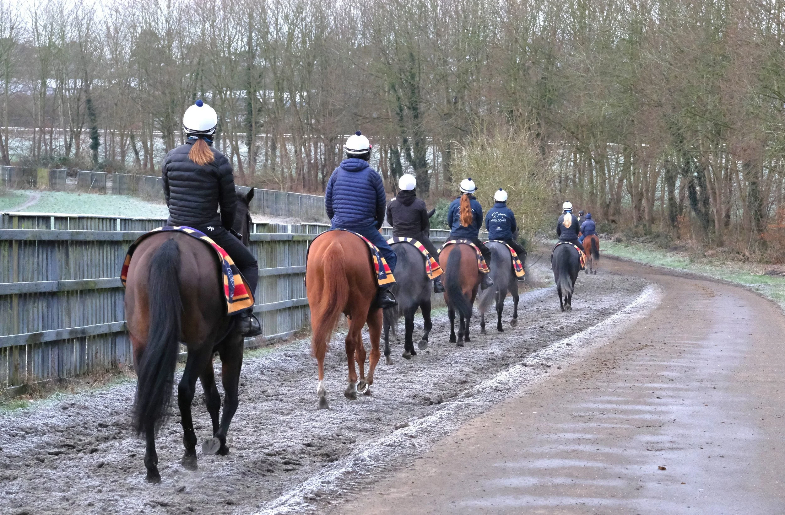 jack-jones-racing-racehorse-string-on-frosty-morning-track-121.jpg