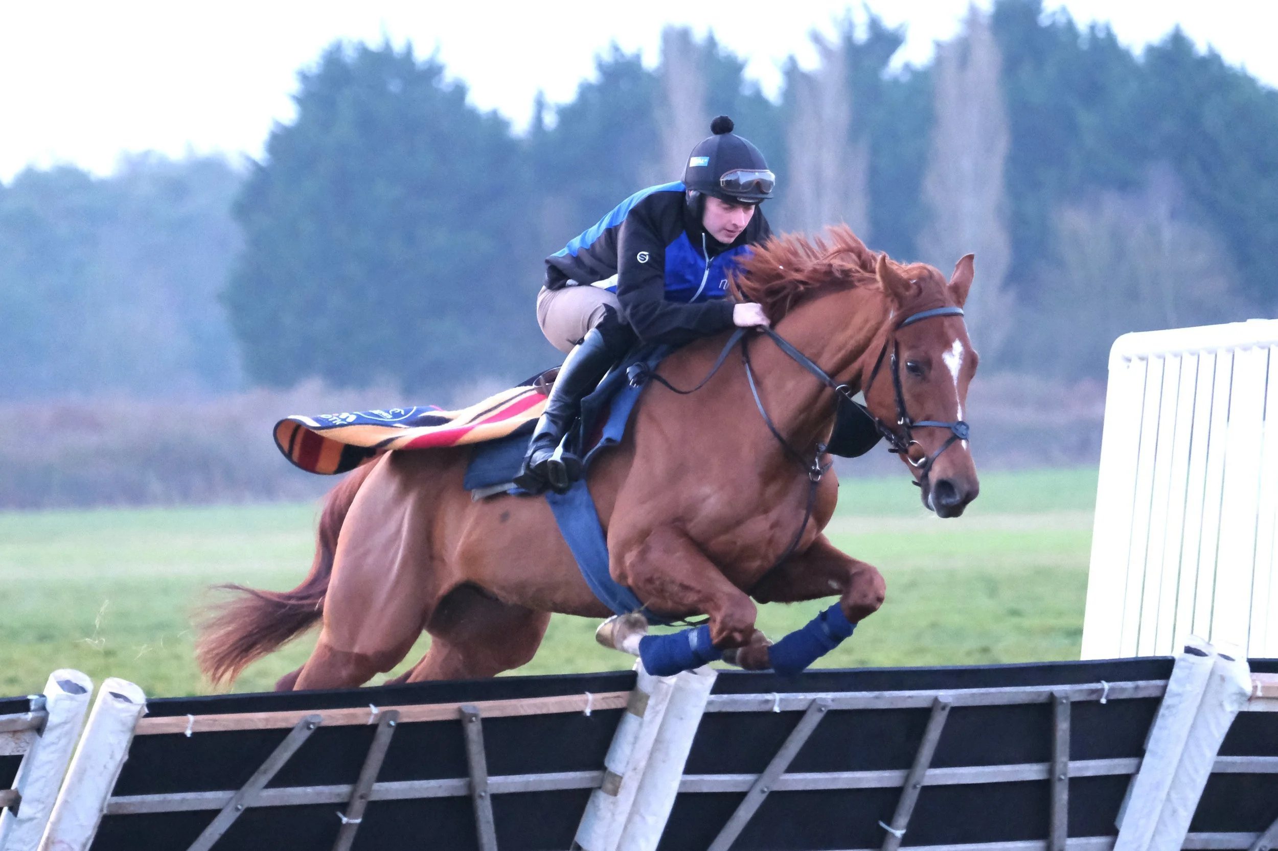 jack-jones-racing-chestnut-racehorse-schooling-over-hurdle-128.jpg