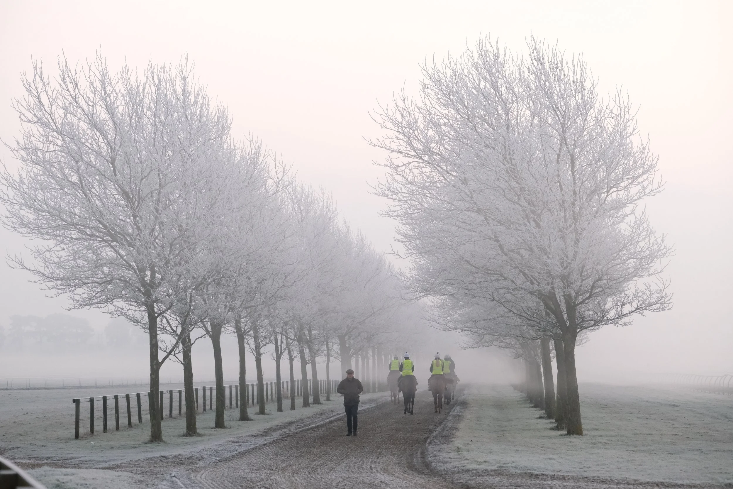 jack-jones-racing-racehorse-string-on-misty-tree-lined-track-124.jpg