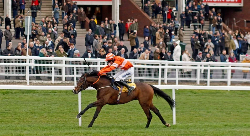 Two-Year-Olds and Cheltenham: Jack Jones