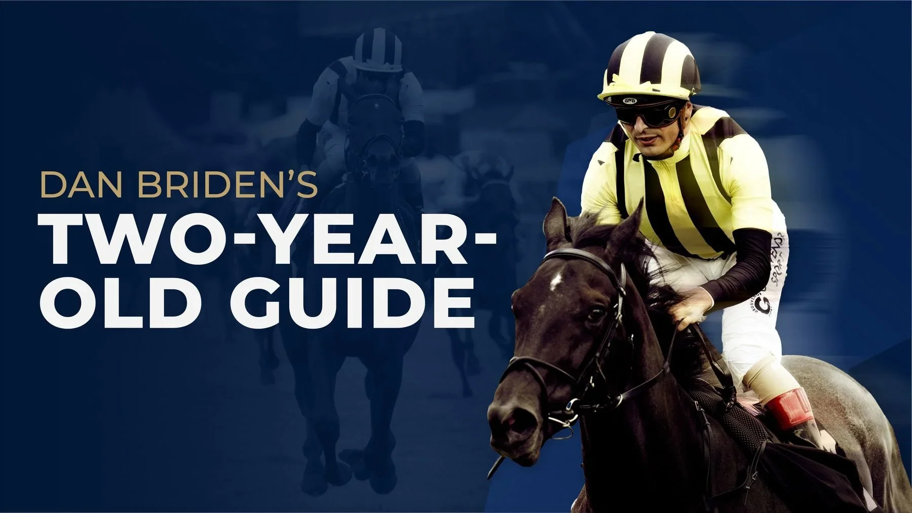 Dan Briden Two-Year-Old Guide
