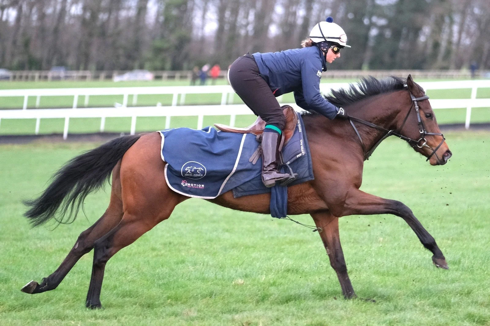 jack-jones-racing-racehorse-cantering-in-exercise-rug-029.jpg