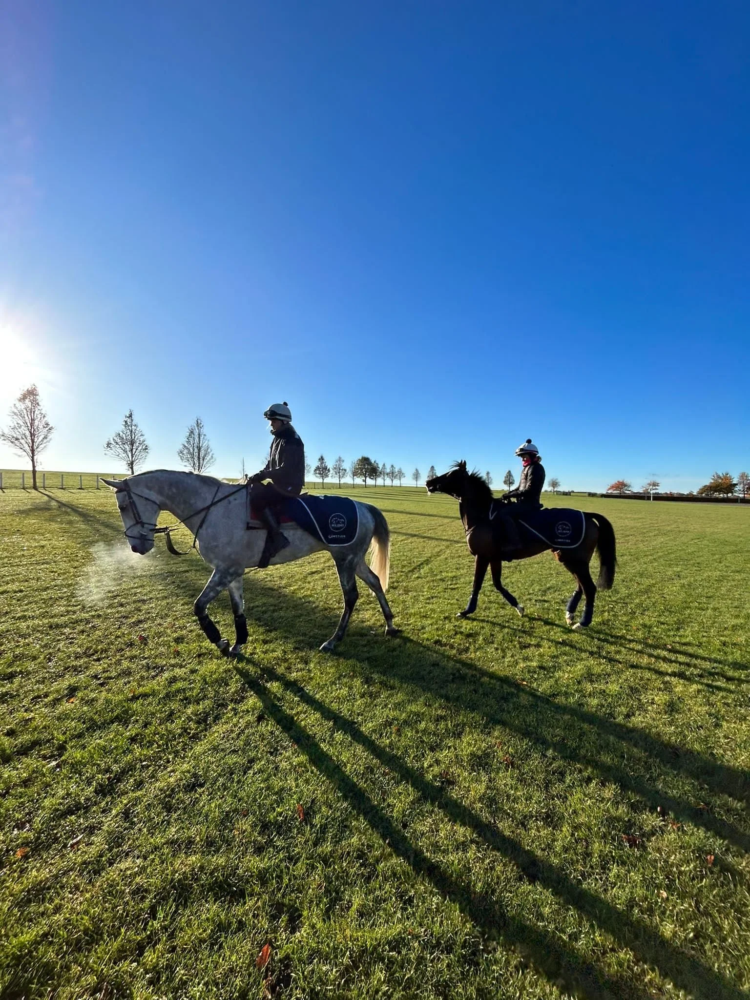 jack-jones-racing-racehorses-exercising-on-sunny-training-ground-045.jpg