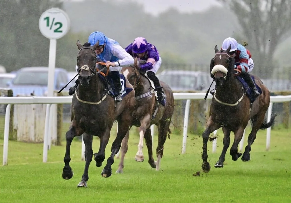 jack-jones-racing-racehorses-approaching-hurdle-013.jpeg