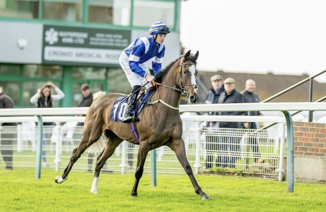 jack-jones-racing-racehorse-and-jockey-in-parade-ring-004.jpeg