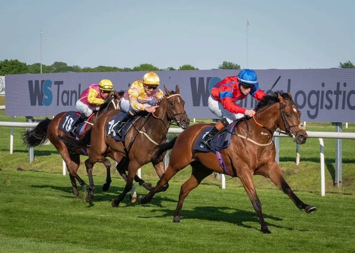 jack-jones-racing-racehorses-sprinting-on-turf-064.jpg