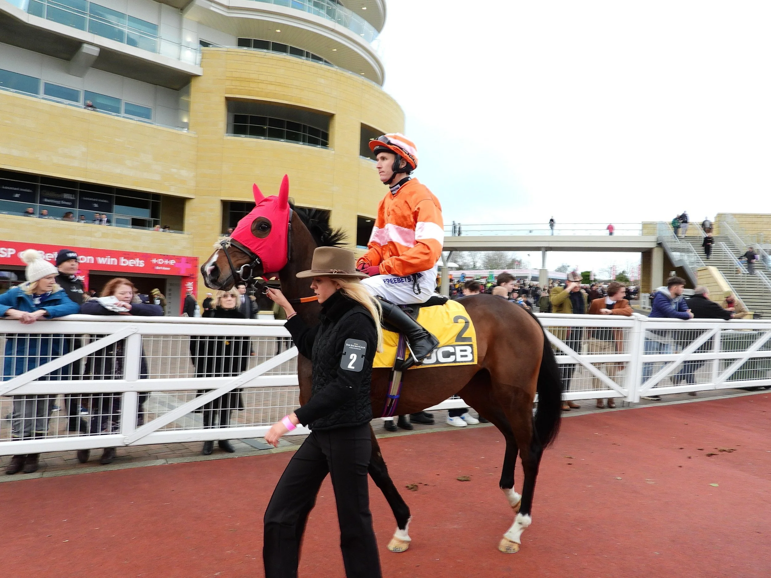 jack-jones-racing-racehorse-being-led-through-paddock-032.jpeg
