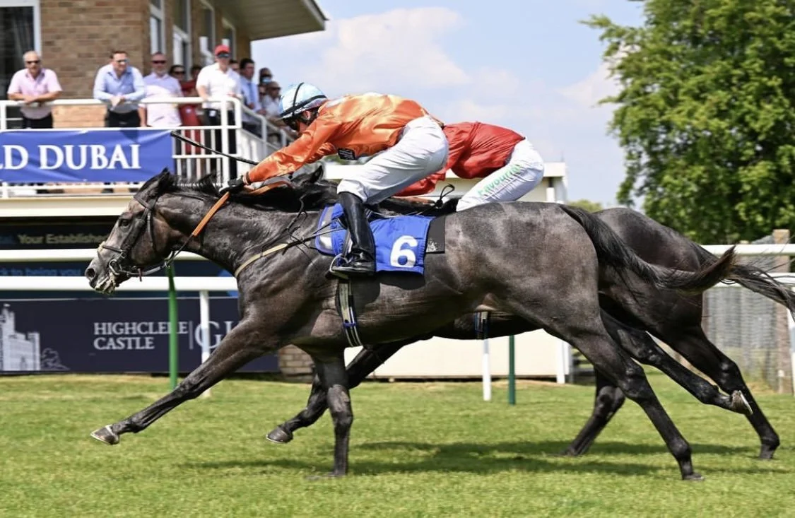 jack-jones-racing-close-finish-on-turf-with-grey-racehorse-015.jpeg