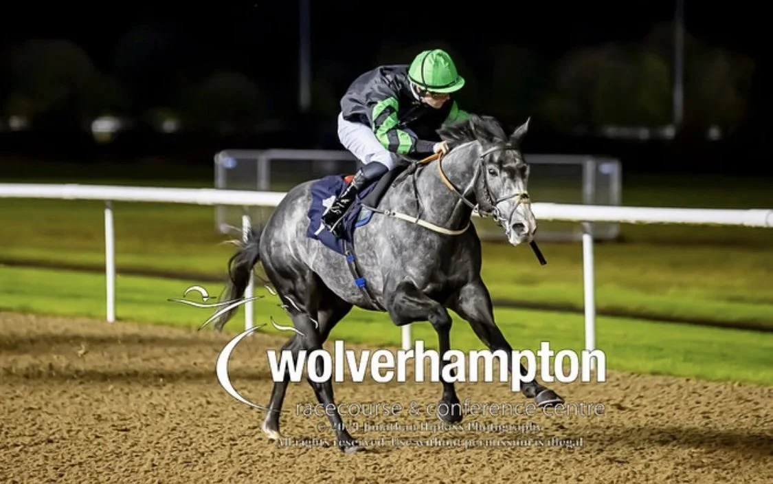 jack-jones-racing-grey-racehorse-racing-at-wolverhampton-007.jpeg
