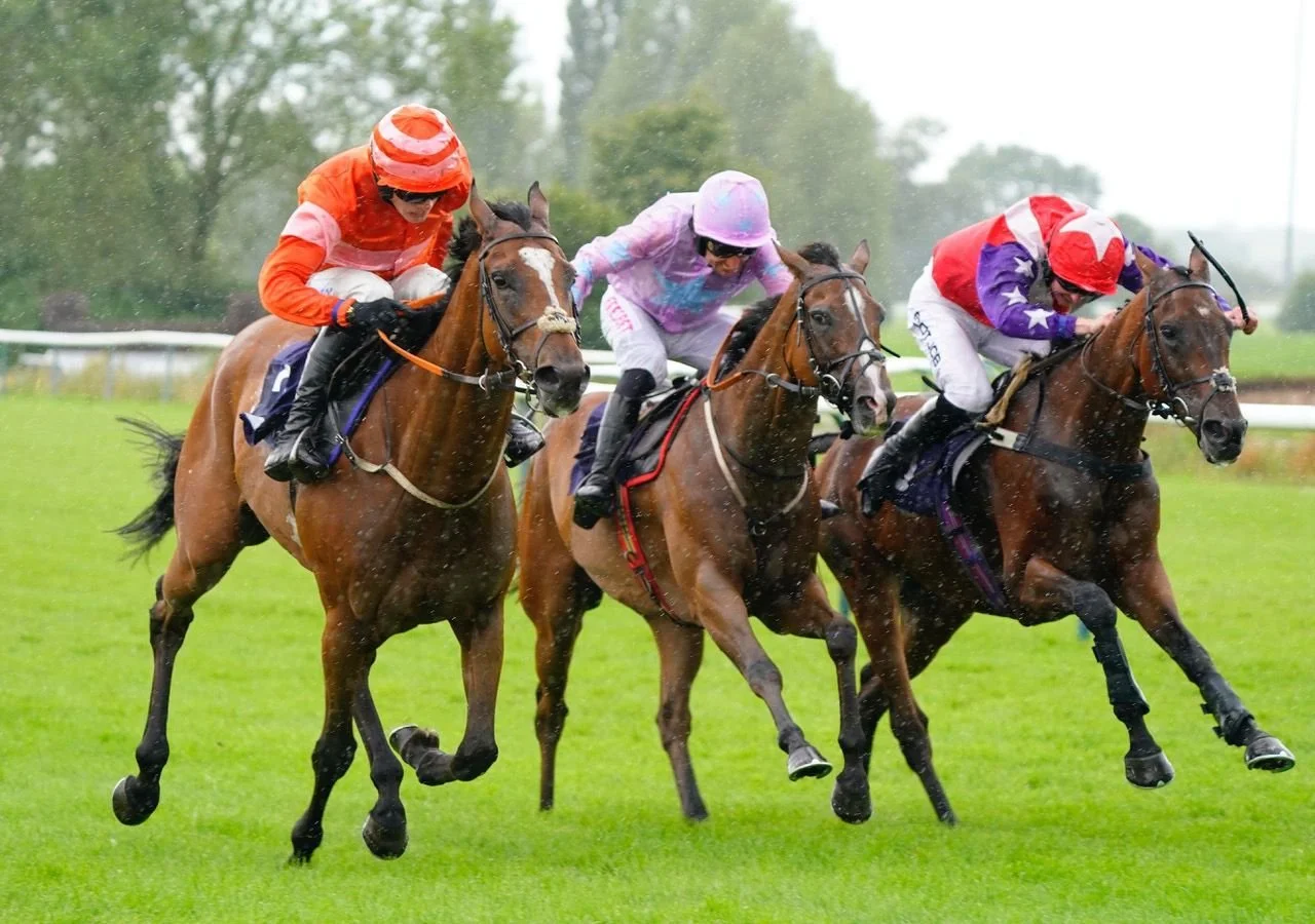 jack-jones-racing-three-racehorses-in-close-turf-finish-054.jpeg