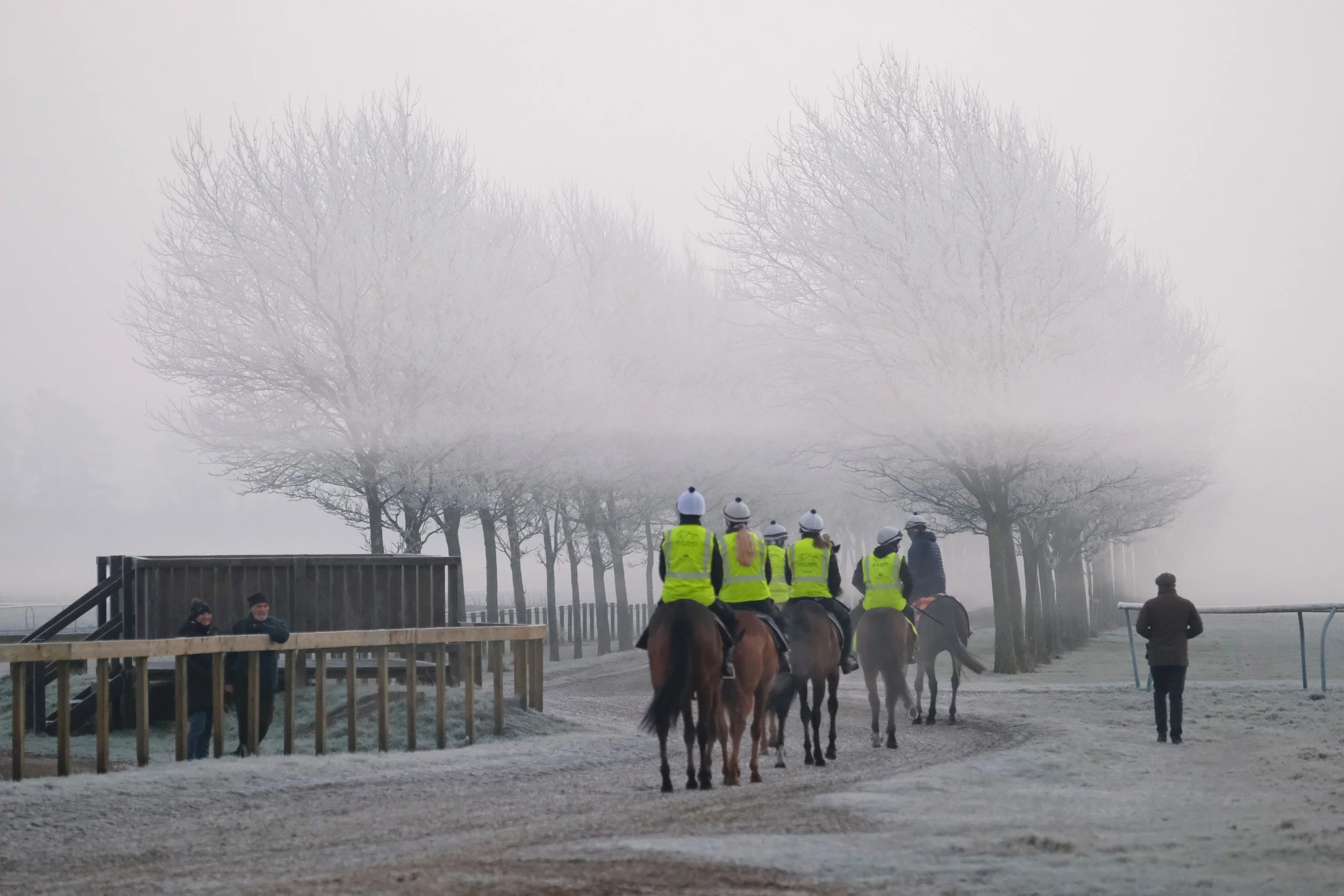 jack-jones-racing-racehorses-returning-through-winter-fog-123.jpg