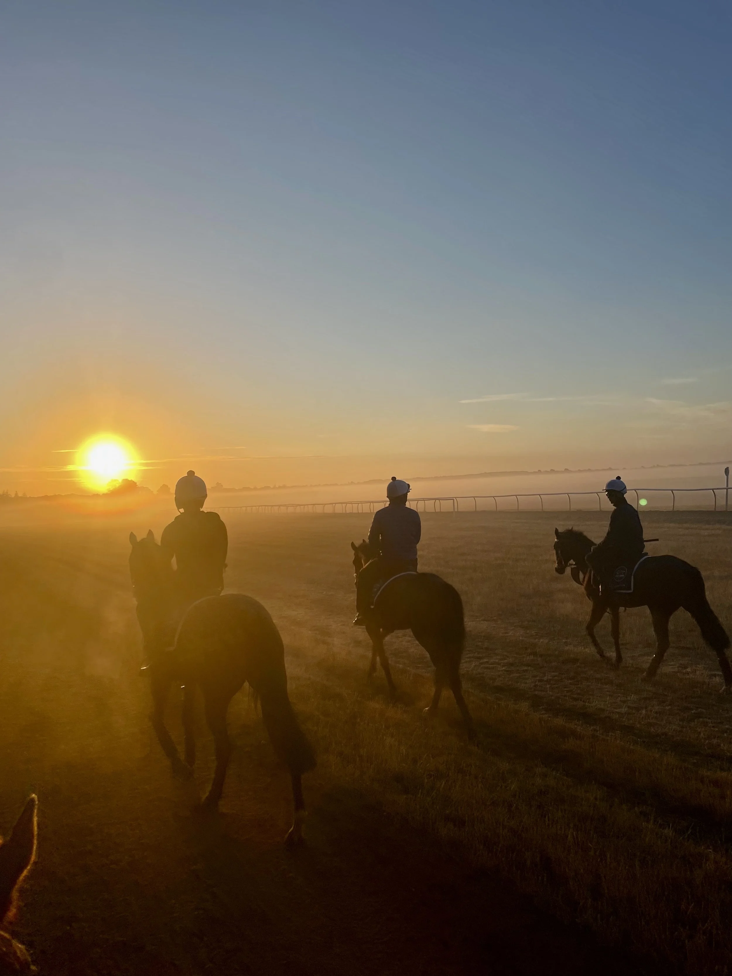 jack-jones-racing-racehorses-in-misty-morning-sunshine-107.jpg