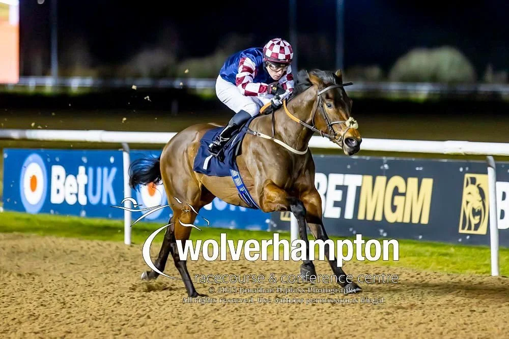 jack-jones-racing-wolverhampton-racehorse-and-jockey-at-night-127.jpg