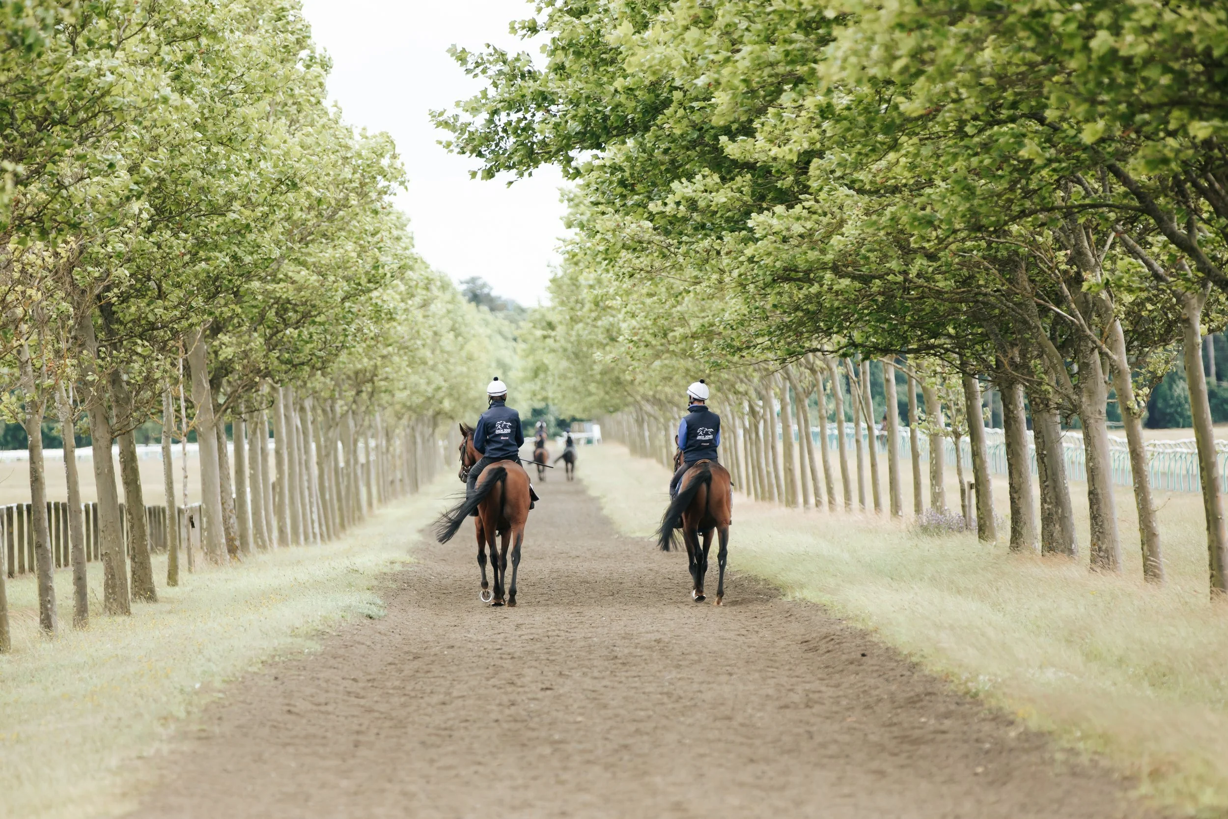 jack-jones-racing-two-racehorses-on-tree-lined-training-track-103.jpg