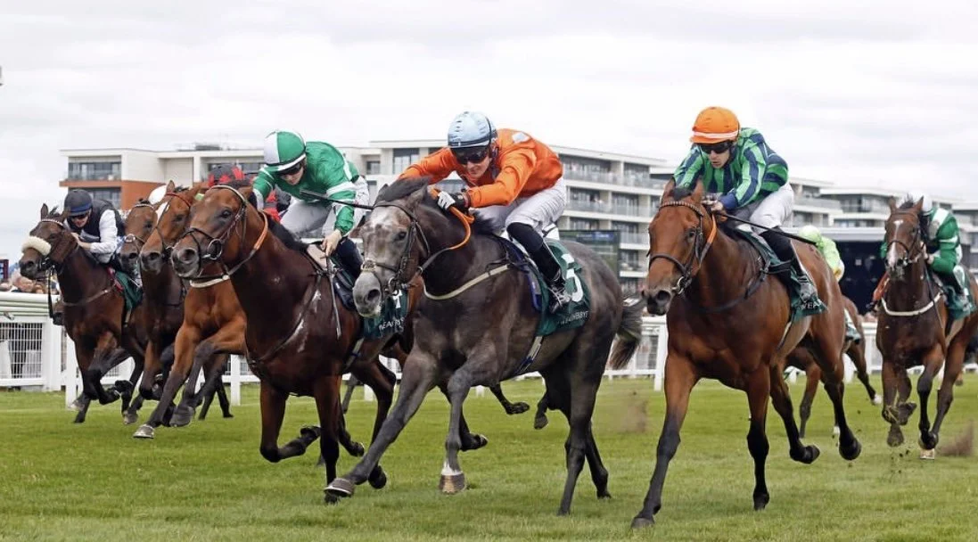 jack-jones-racing-flat-race-field-on-turf-009.jpeg