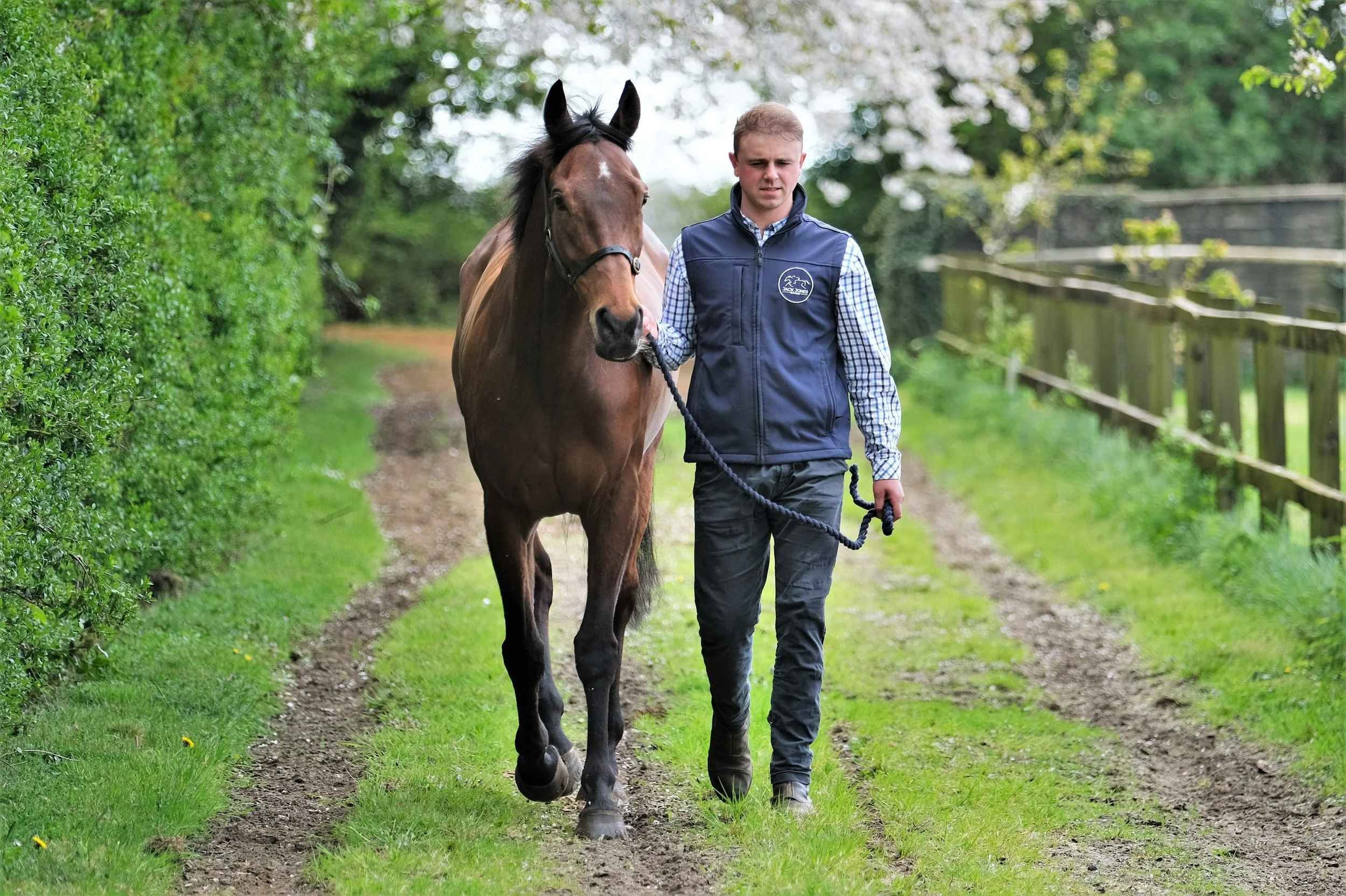jack-jones-racing-blossom-racehorse-with-handler-at-yard-090.jpg
