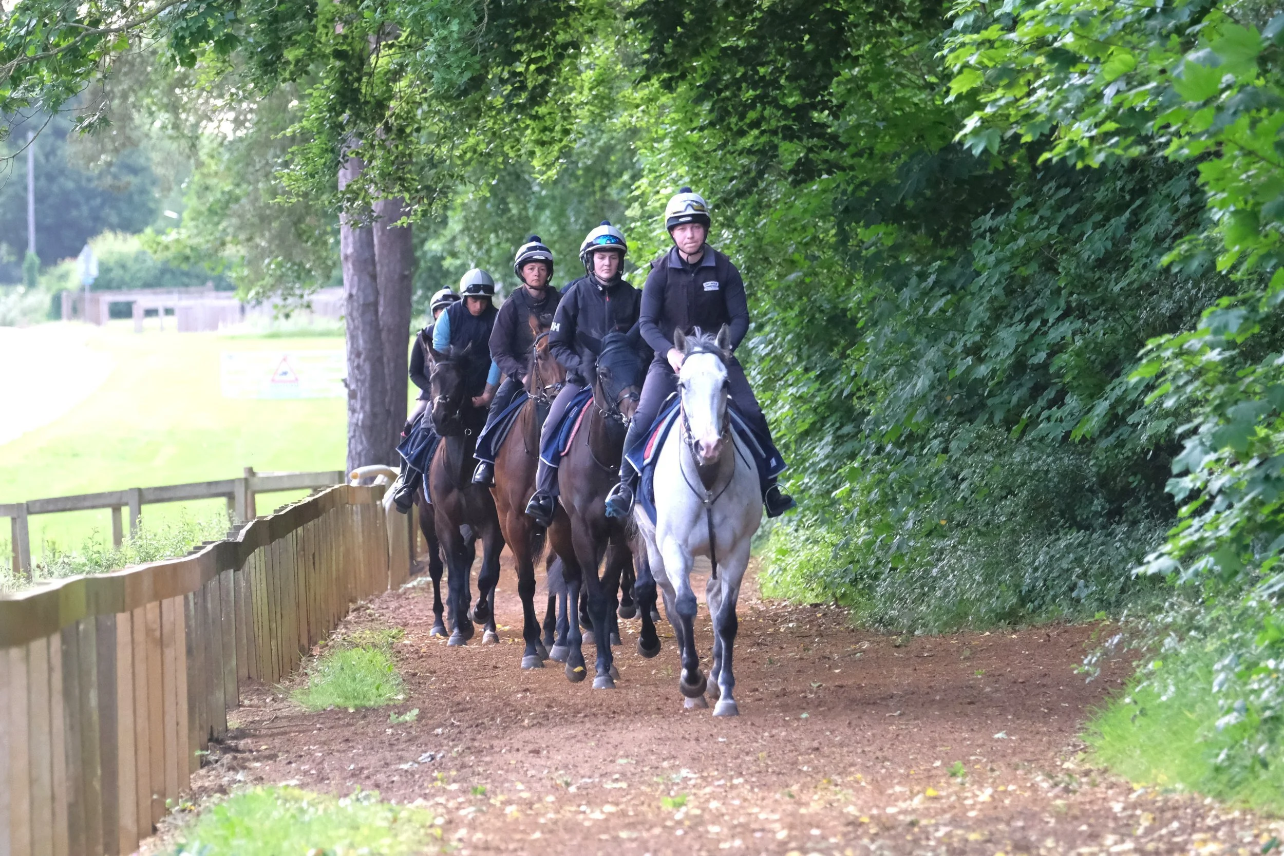 jack-jones-racing-racehorse-string-on-shaded-woodland-path-134.jpg