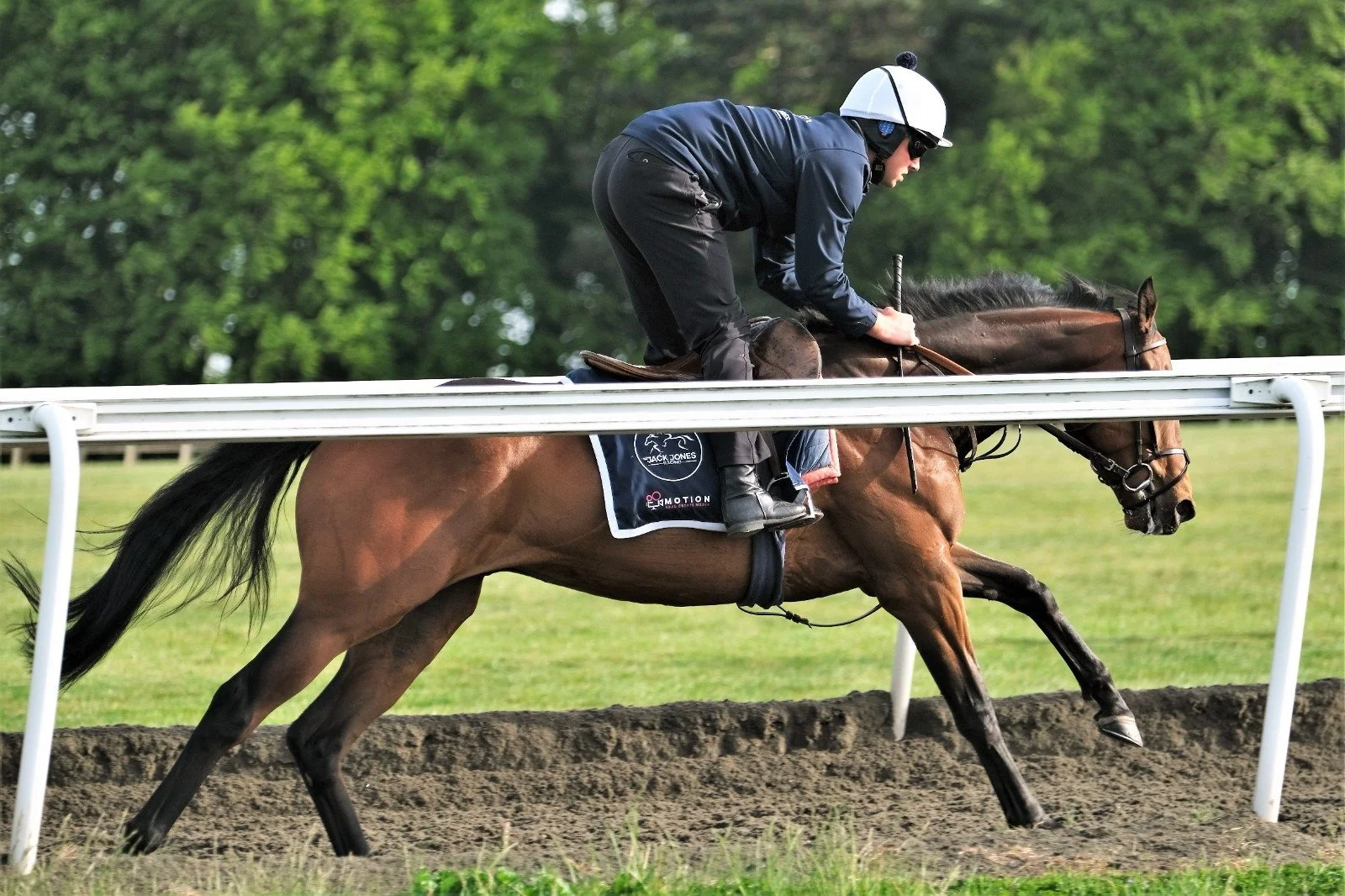 jack-jones-racing-racehorse-cantering-on-grass-gallop-092.jpg
