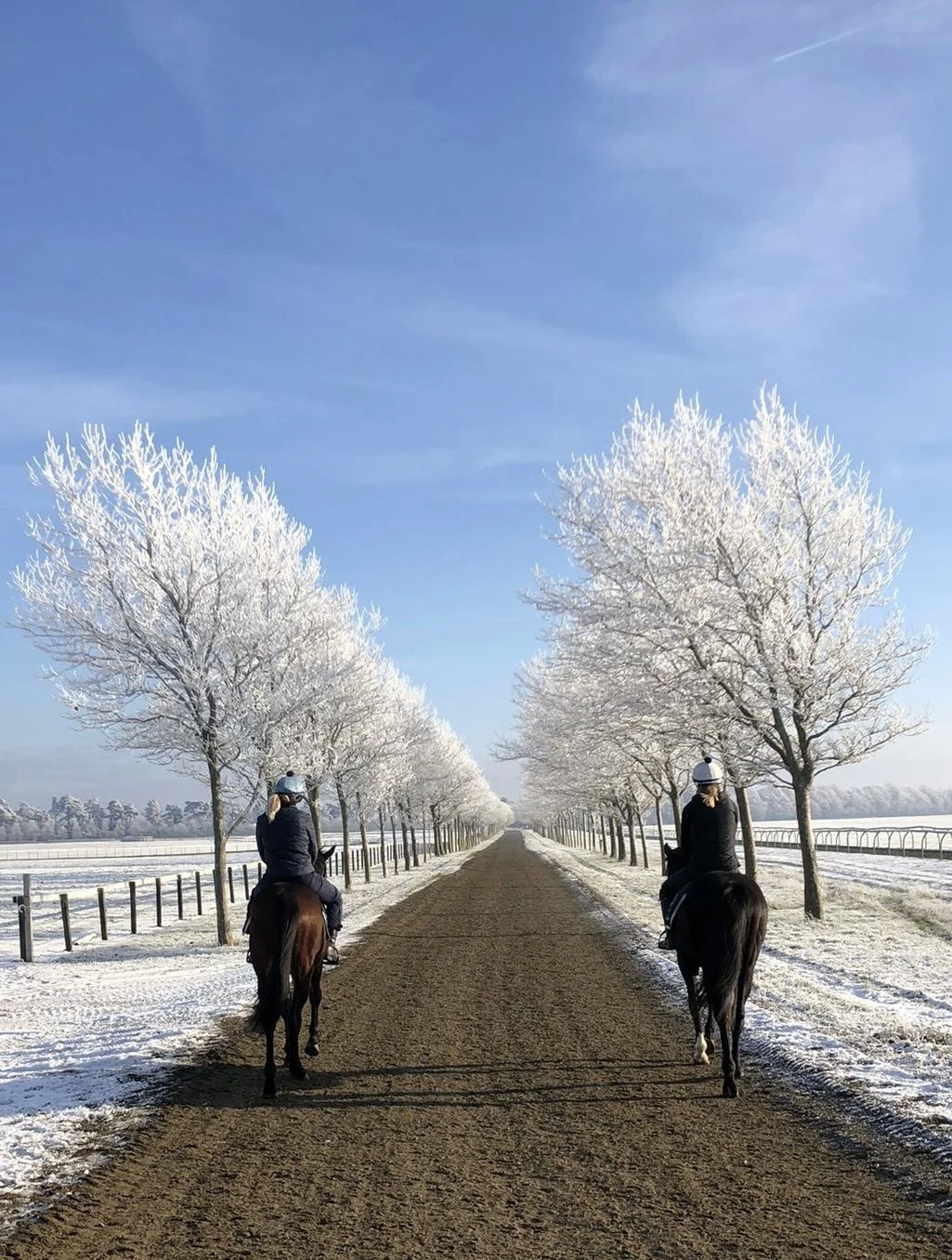 jack-jones-racing-racehorses-on-frosty-tree-lined-training-path-077.jpg